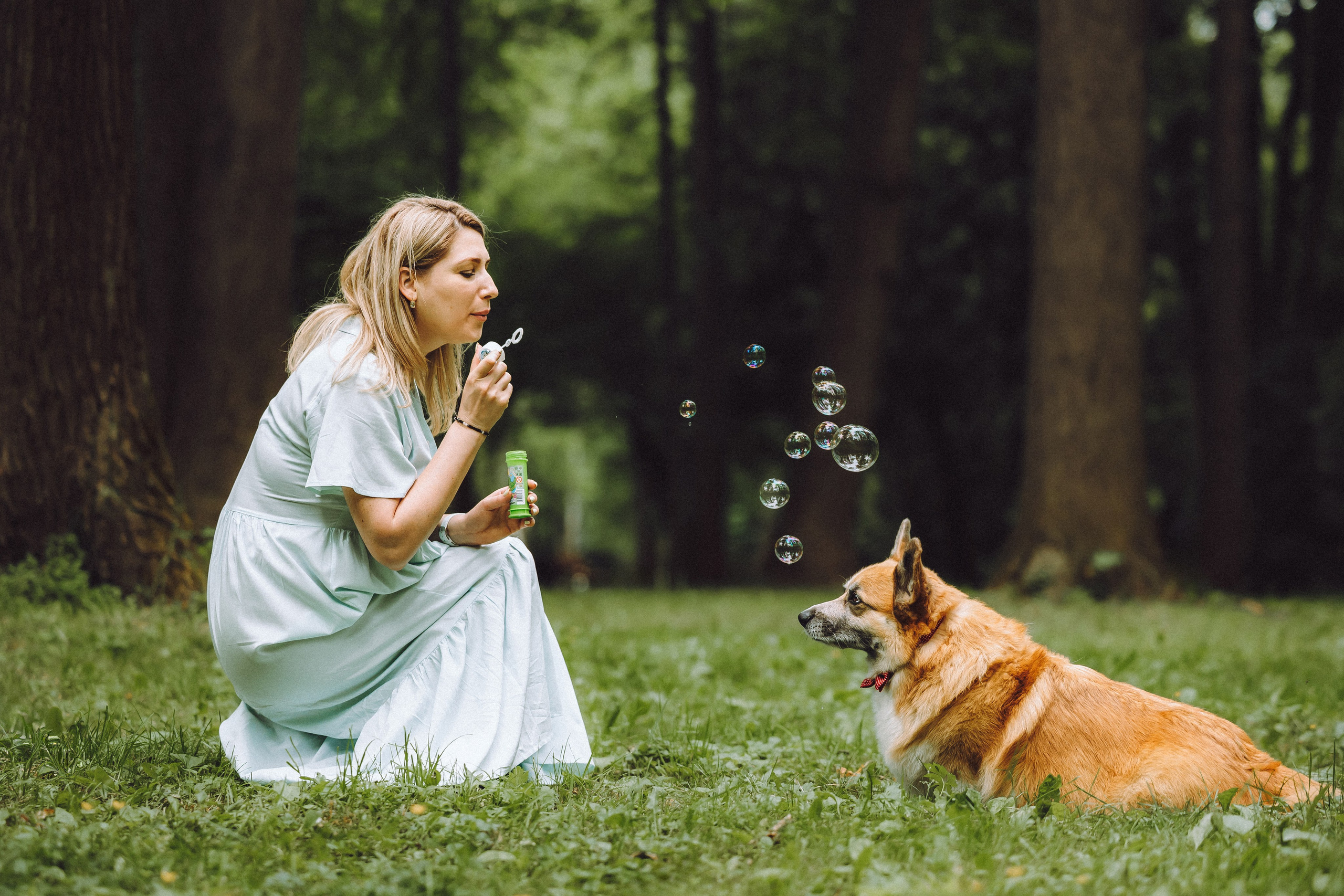 Ира, Леша и Харли