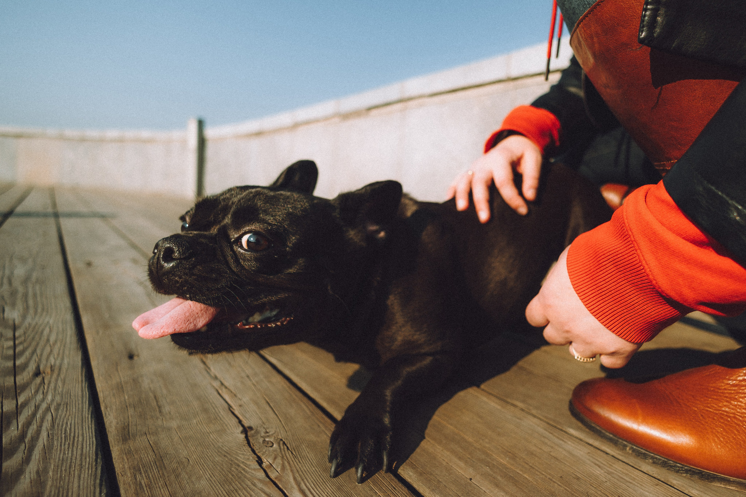 Саша, Дима и Шпуля