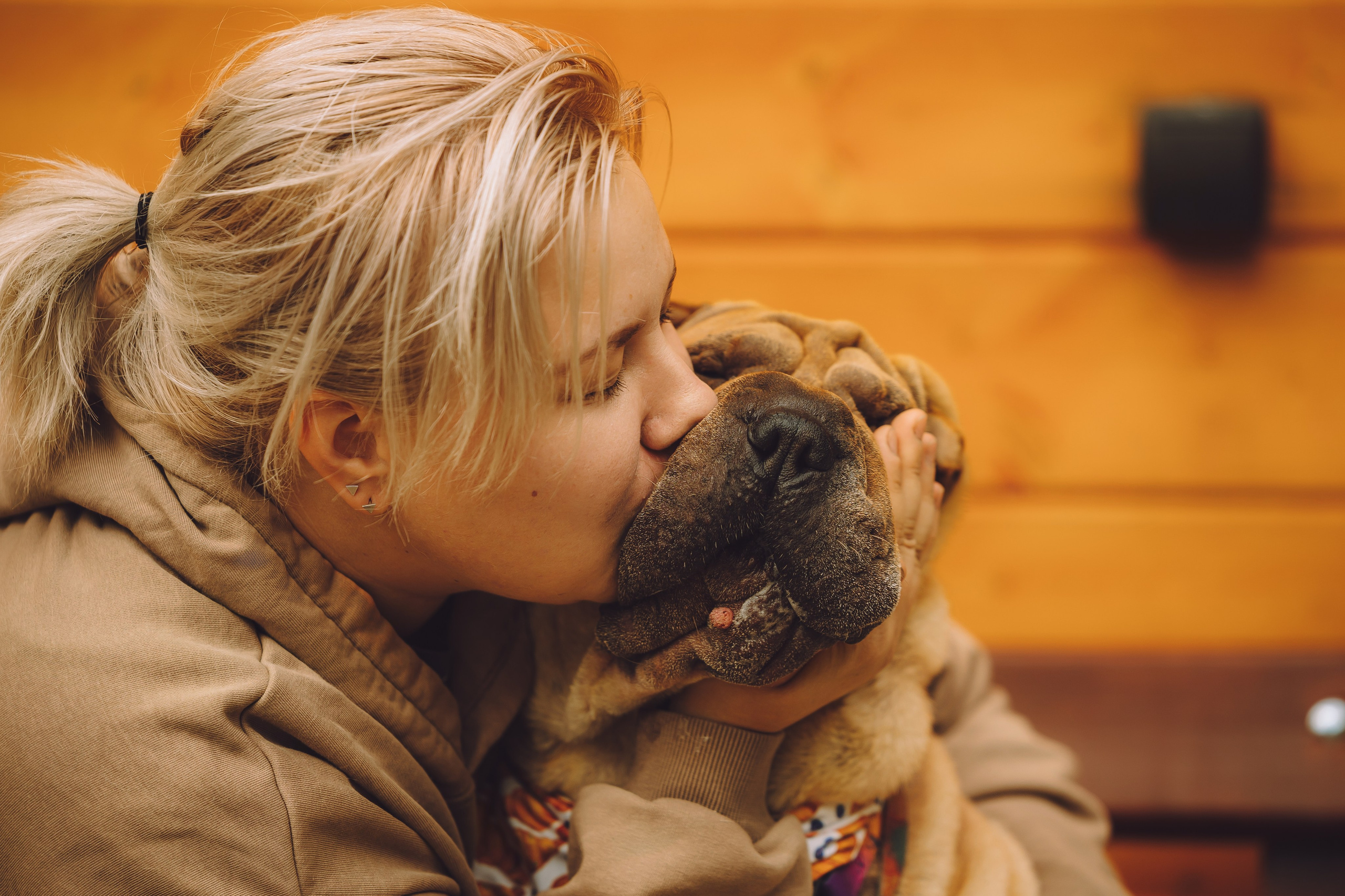 Выездной дог-тренинг от школы «Шерсть имею», Тованово