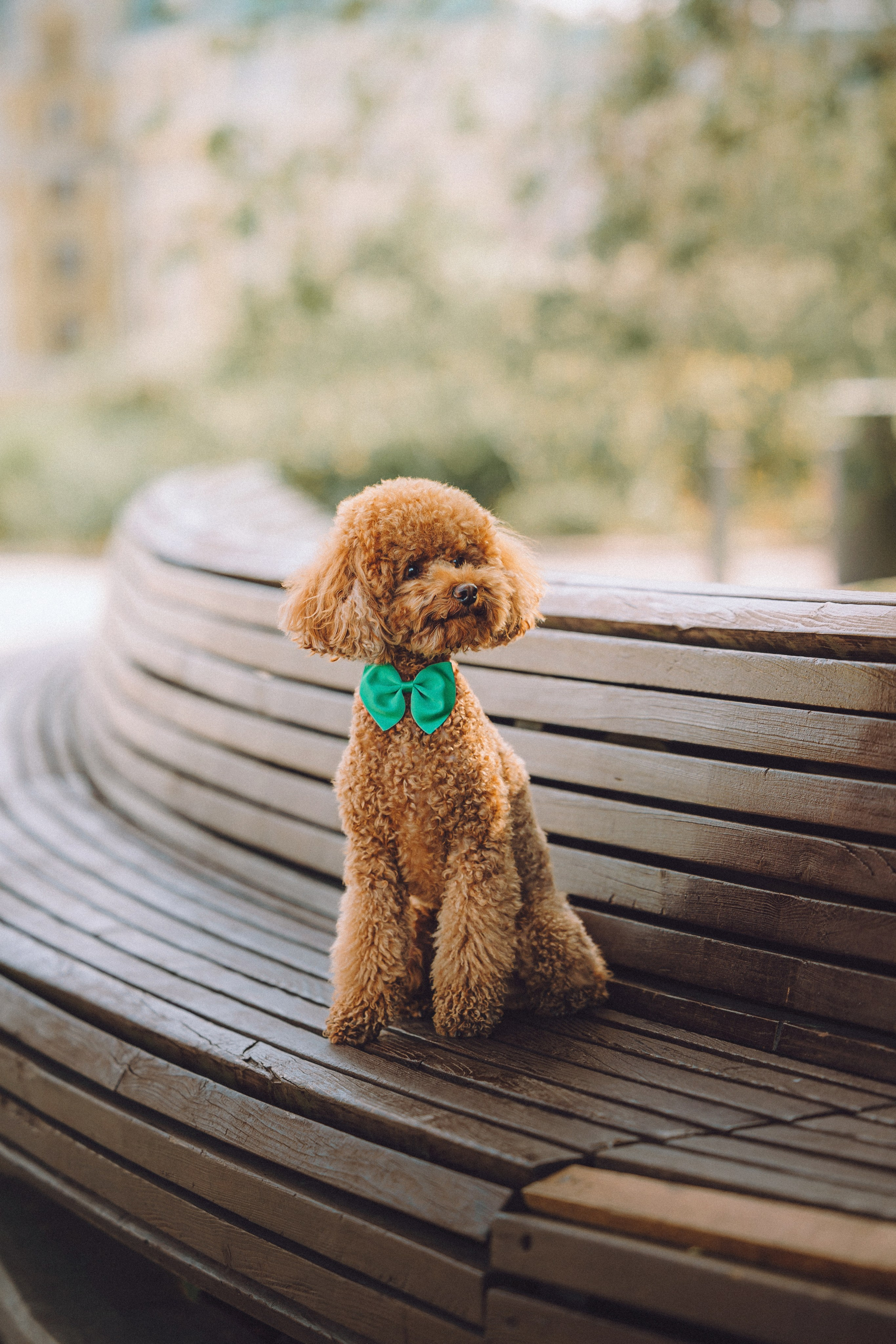 Марья и Буба