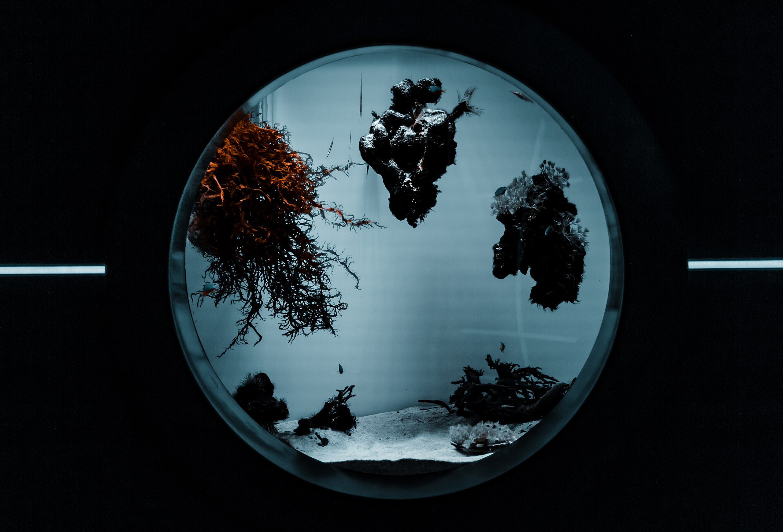 Фотограф в Новокузнецке