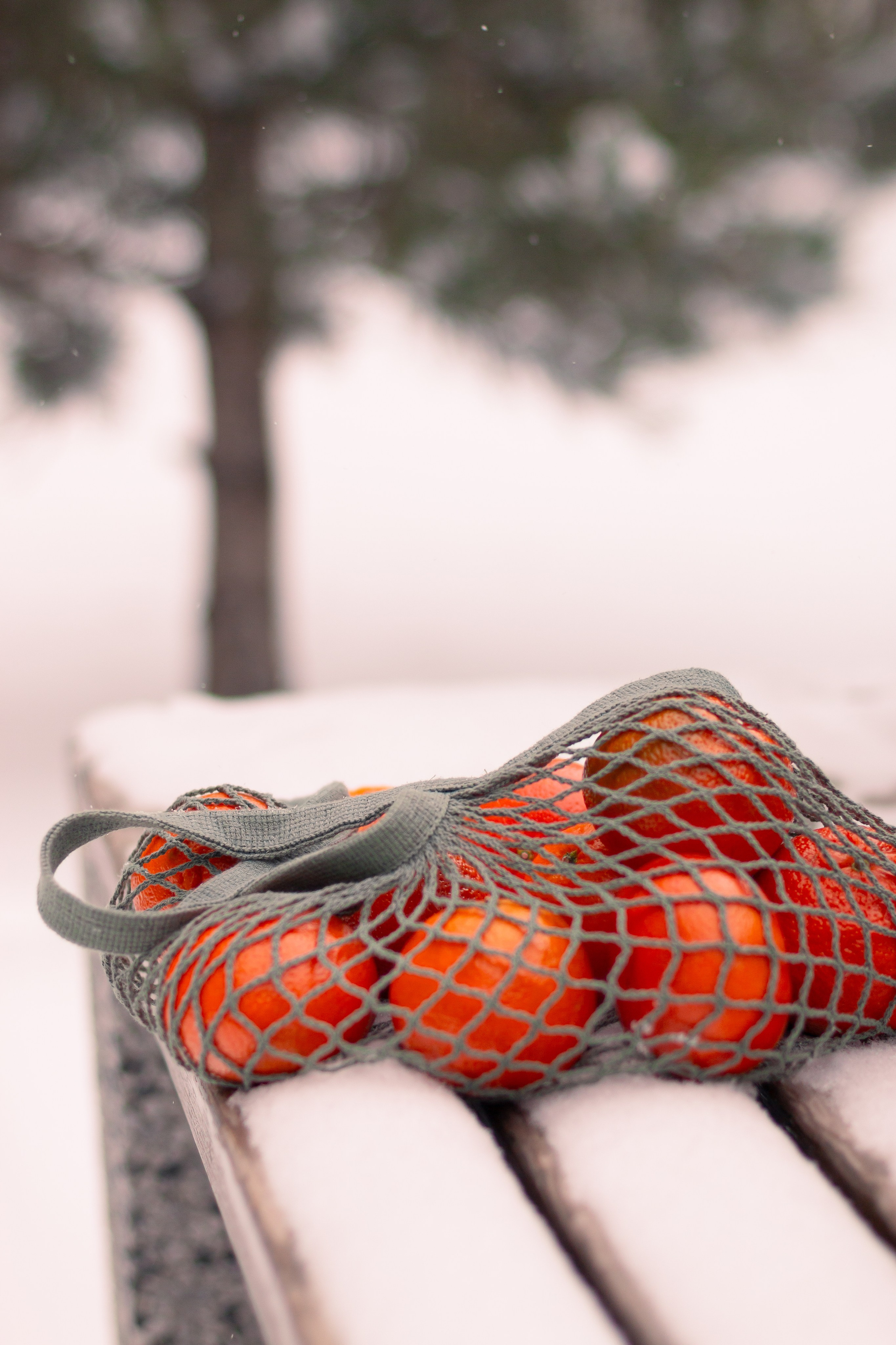 Настя. Снег, мороз и мандаринки. Анна Беликова — Семейный и портретный фотограф Ростов-на-Дону