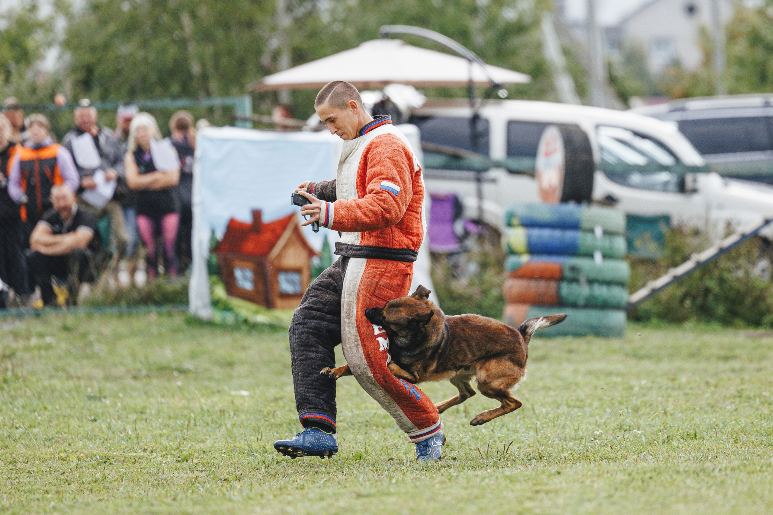 08.08.25-10.08.25 ЧР по мондьорингу г. Вологда. Фотограф-анималист Анна Маринич