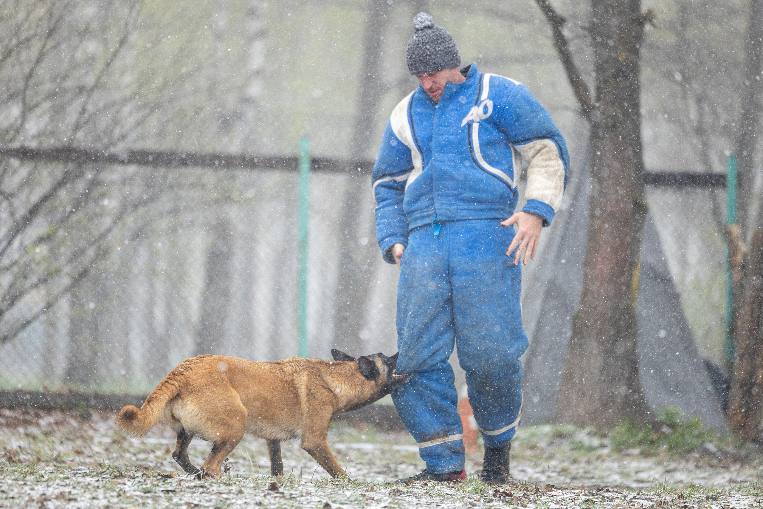 Квалификационные состязания по мондьорингу г. Вологда 11.05.24. Фотограф-анималист Анна Маринич