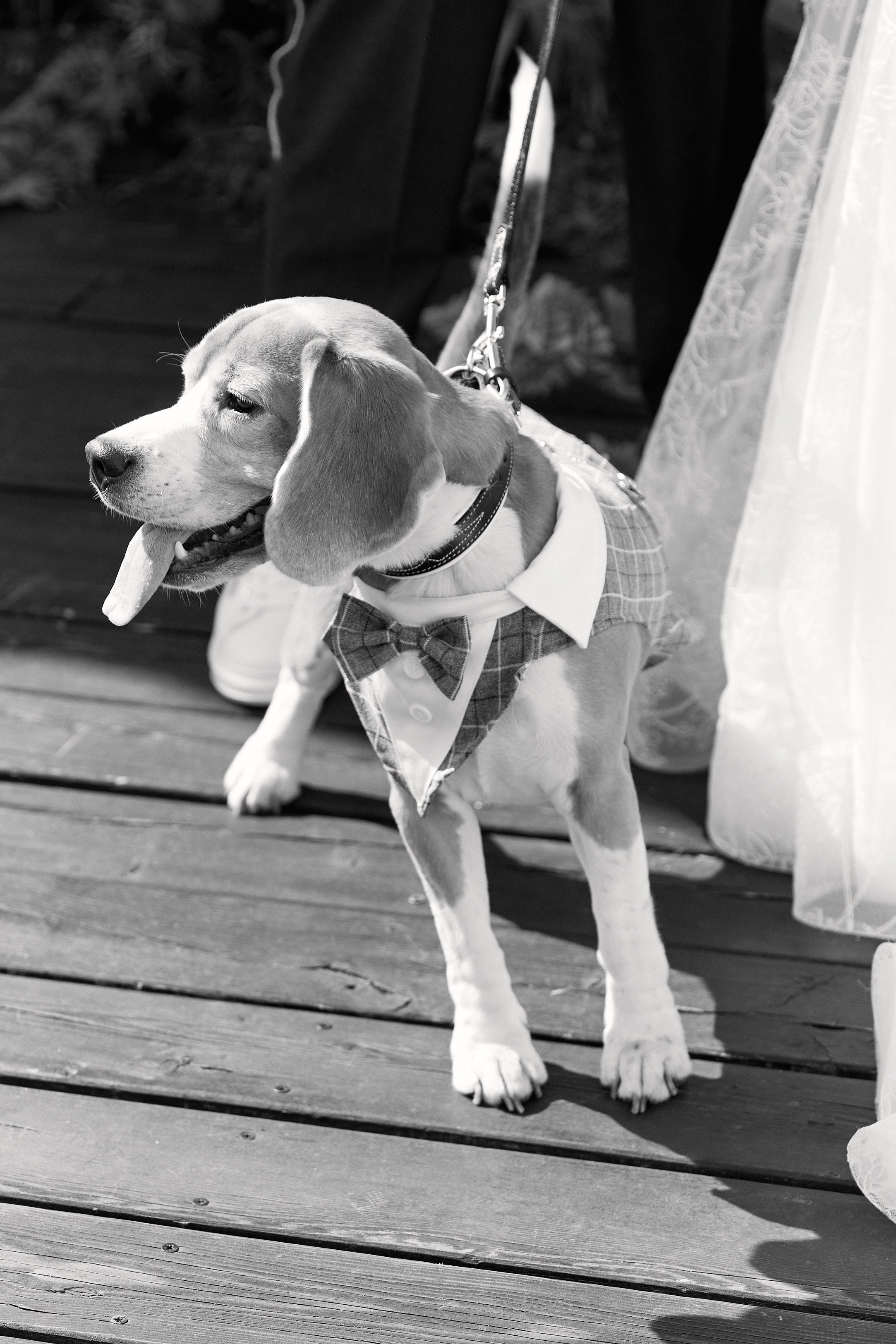 Посмотреть серию. Свадебный и семейный фотограф в Красноярске Тряпчев Павел