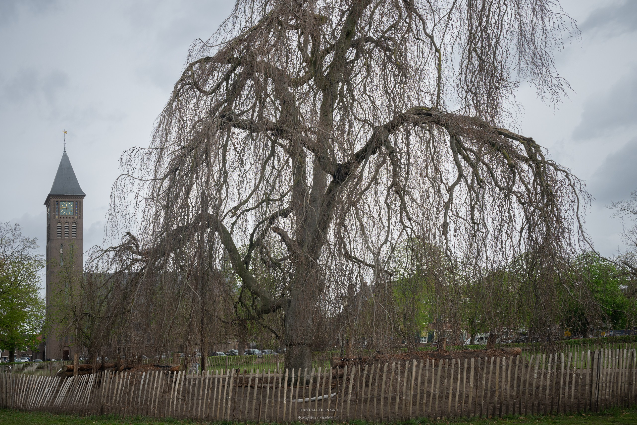 Эйндховен, городские зарисовки. Авторские стильные фотокартины