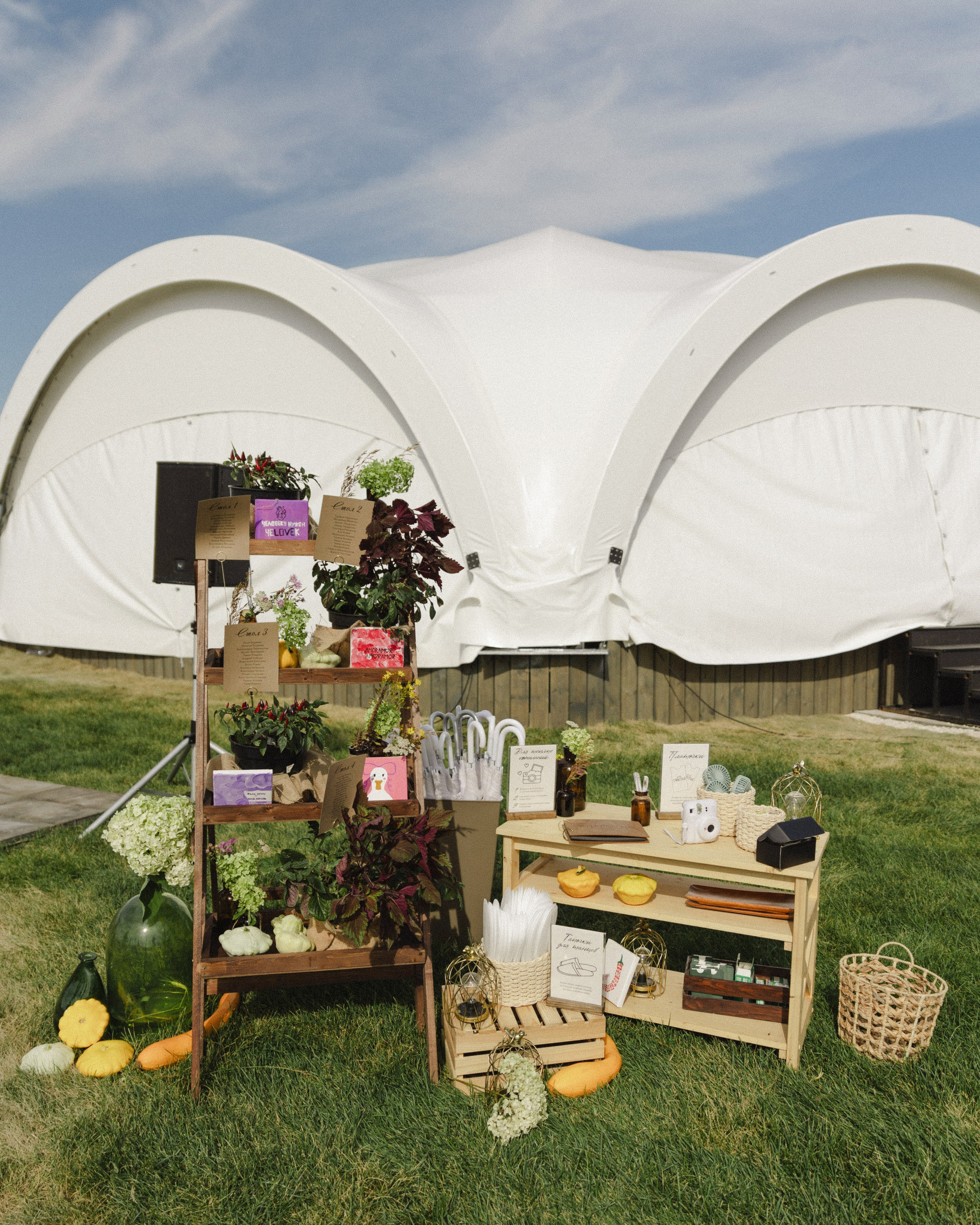 Сабина и Алексей. Фотограф Ирина Гринько Тольятти Самара Москва