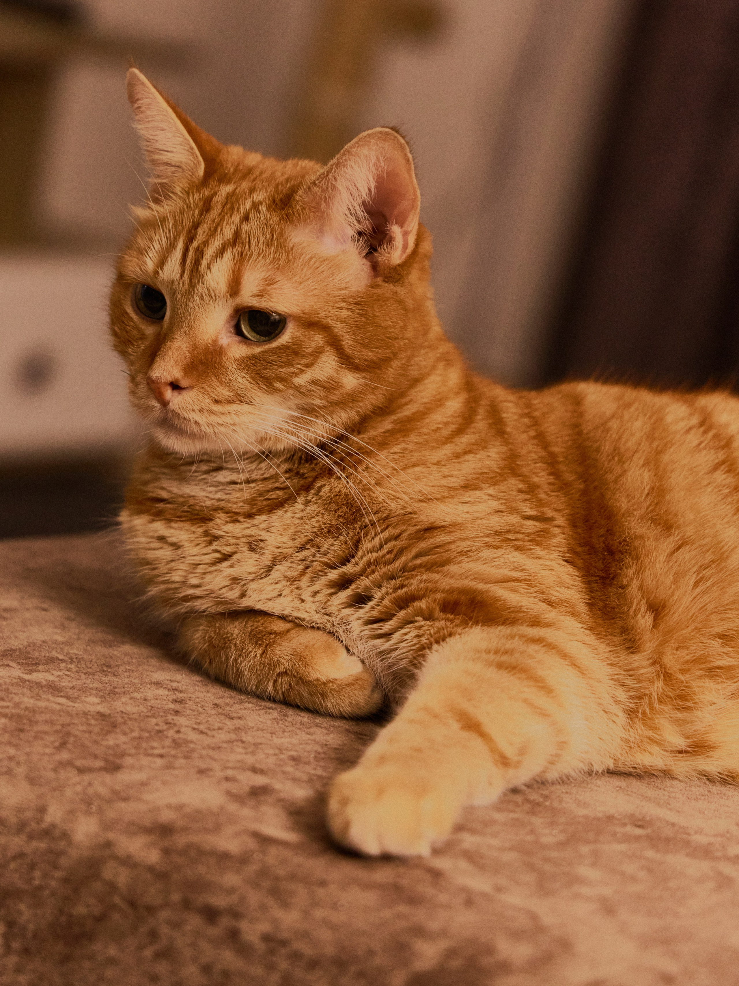 Другое 3. Jorgis — фотограф в Хургаде / обучение фотографии