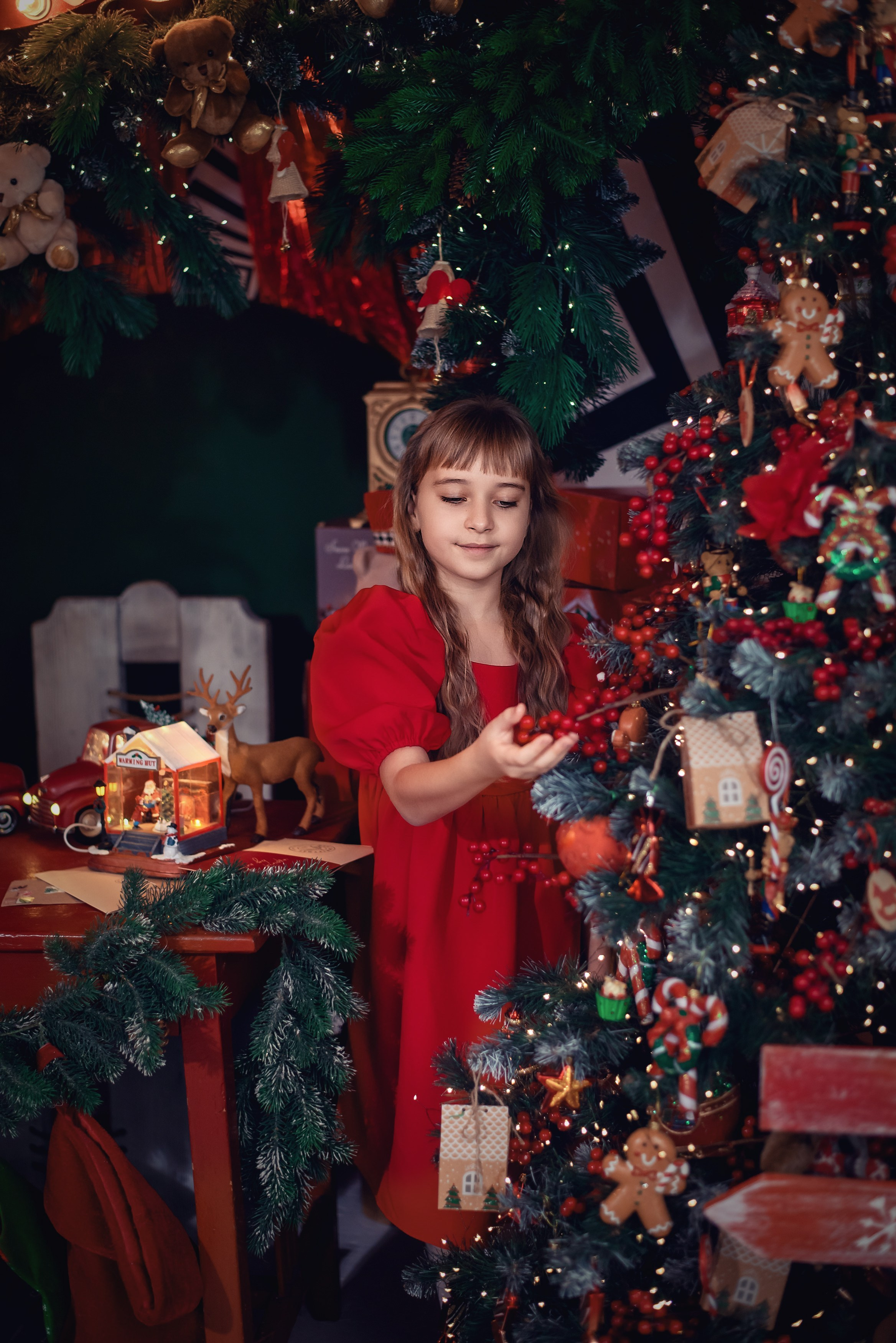 Новогодние фотосессии в Брянске