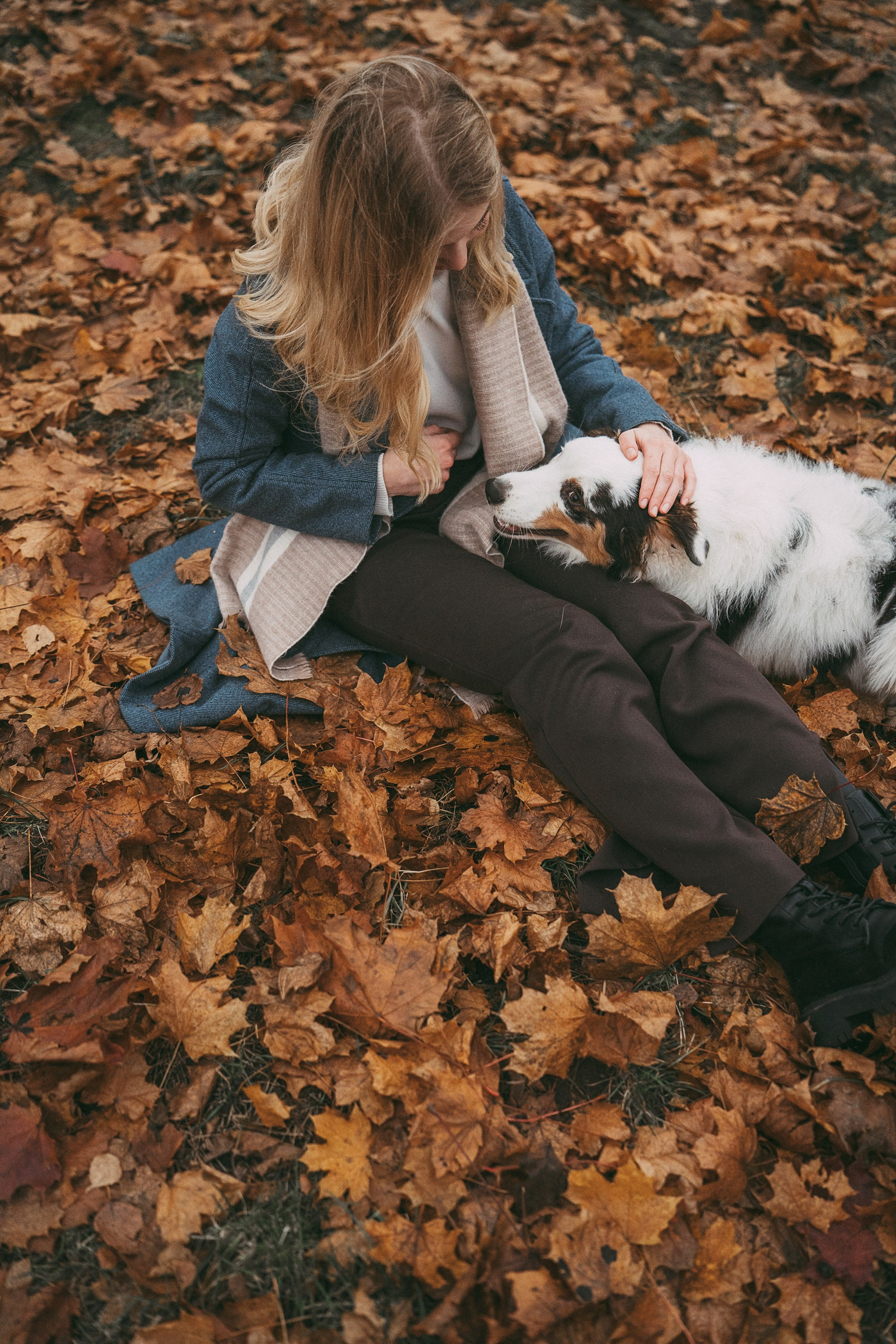 Лиза и Бублик. Фотограф анималист в Москве и Санкт-Петербурге Свиридова Анна