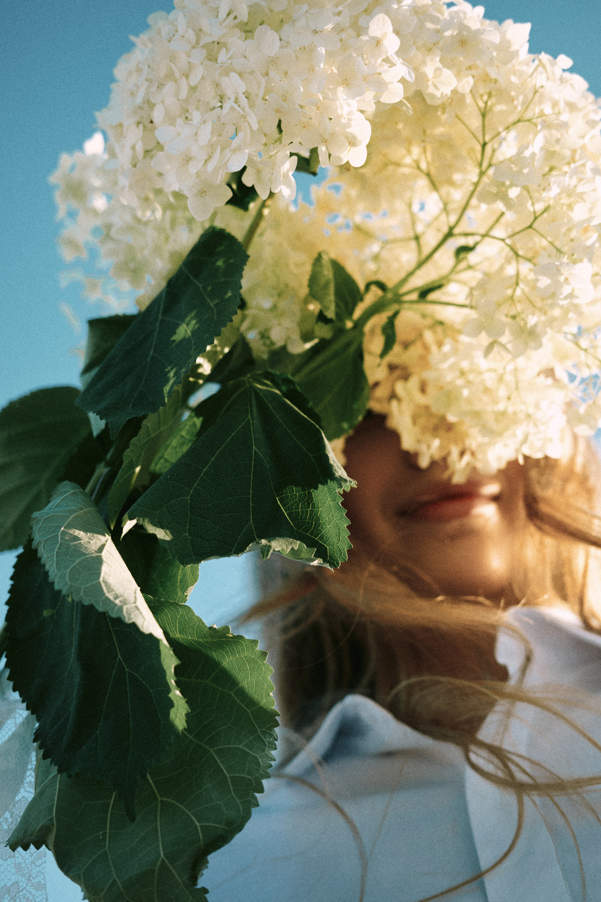 Falera Wedding Collection. Портретный фотограф Филимонов Сергей