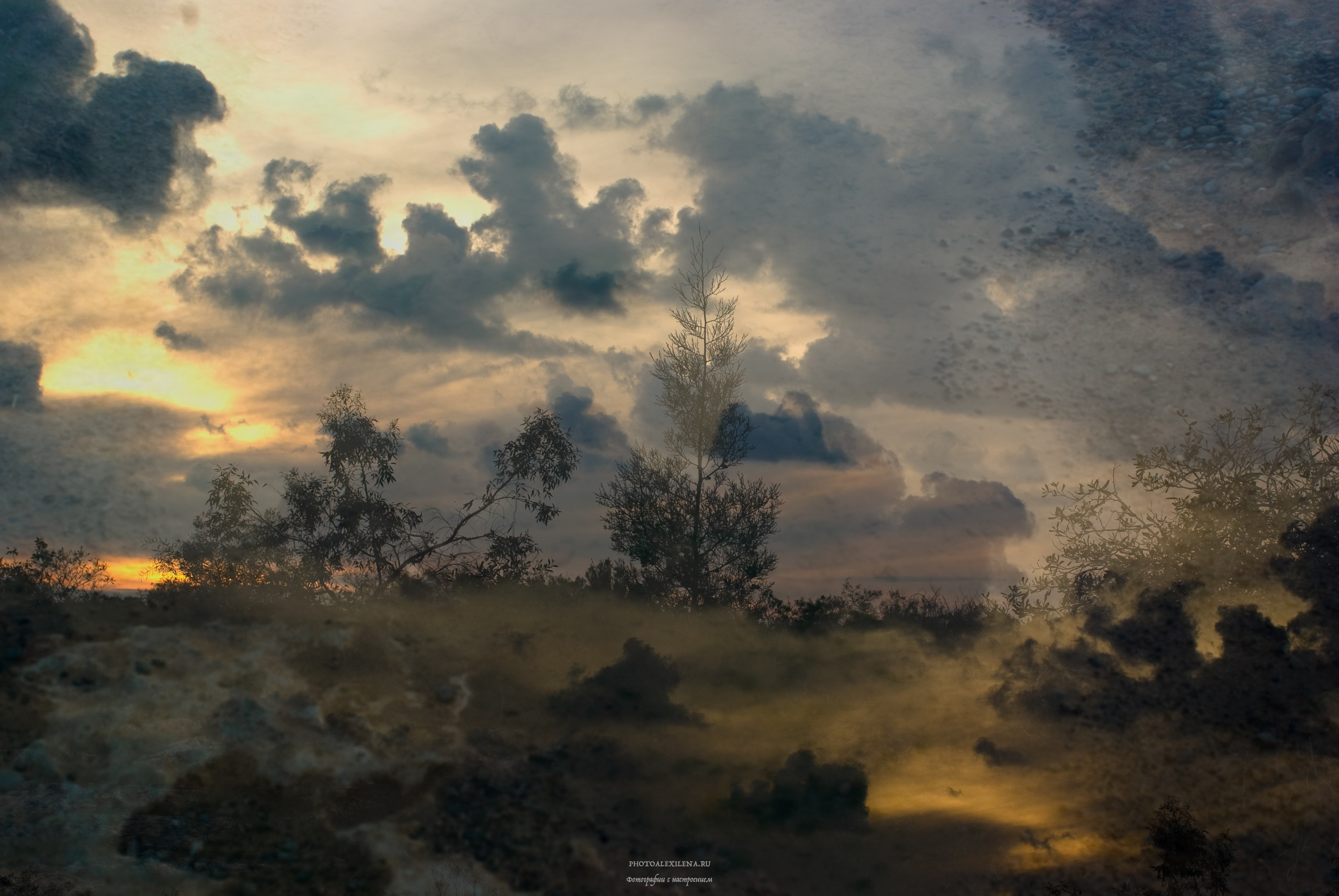 Кипр, 2009