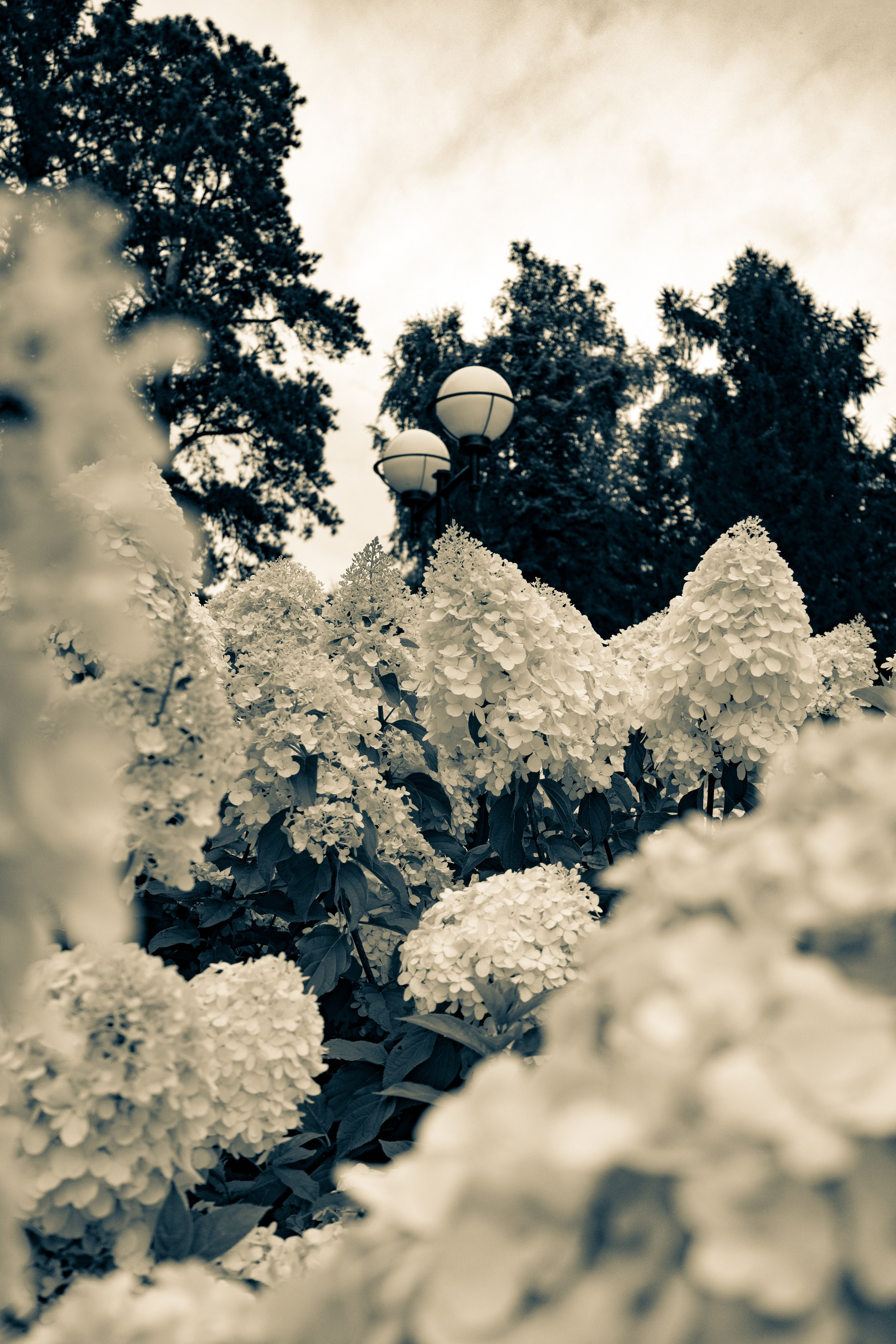 Новосибирск. Jean De Vivre Gallery