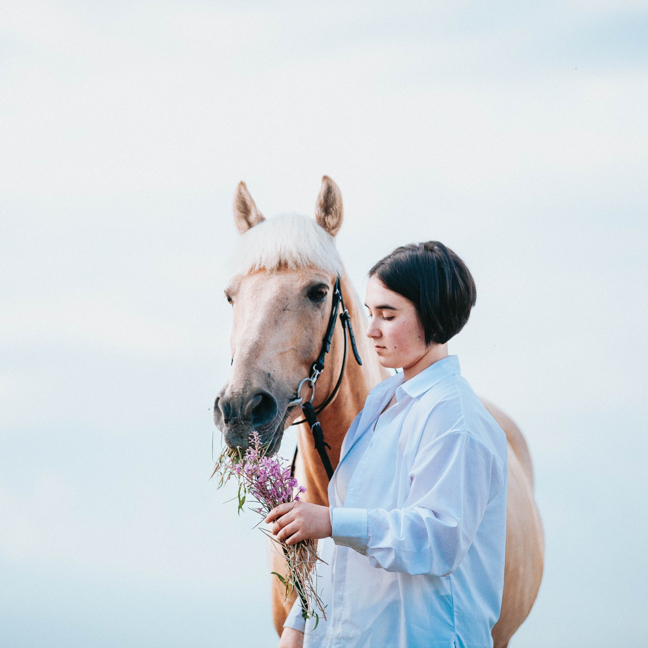 Алина и Гешефт. Главная