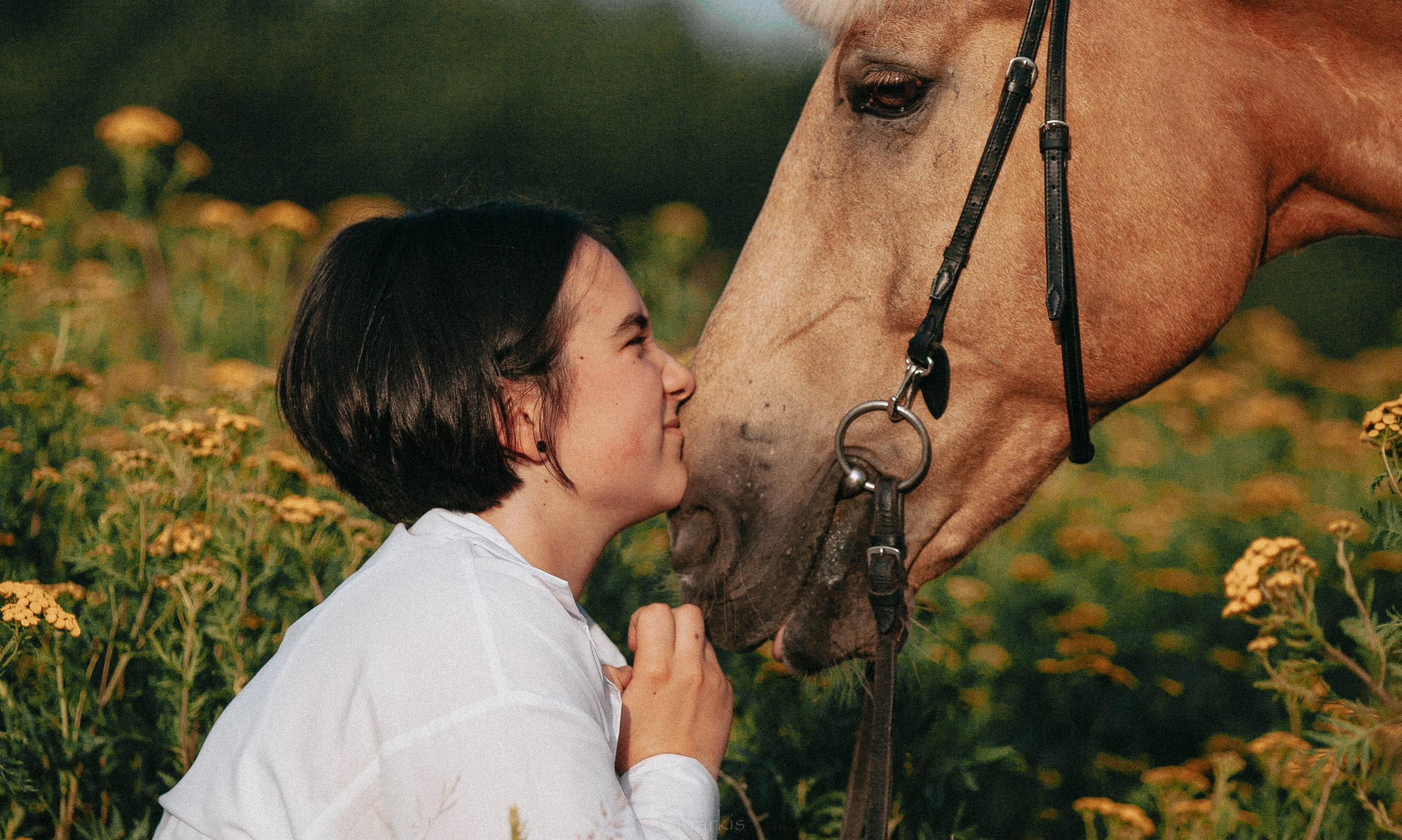 Алина и Гешефт. Главная