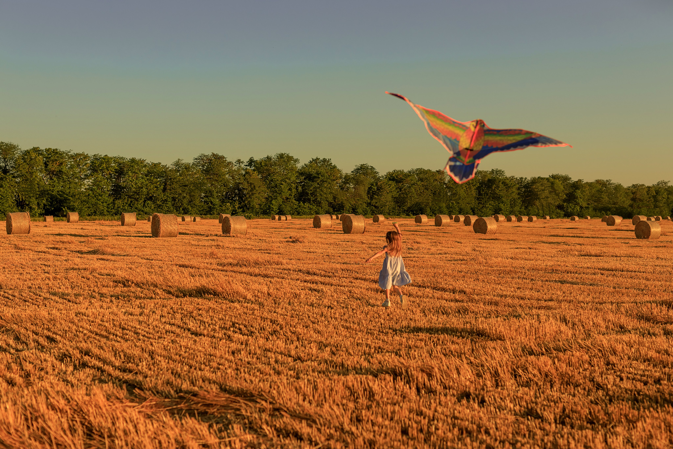 Екатерина. Семейный и детский фотограф в Краснодаре Элона Литвинова