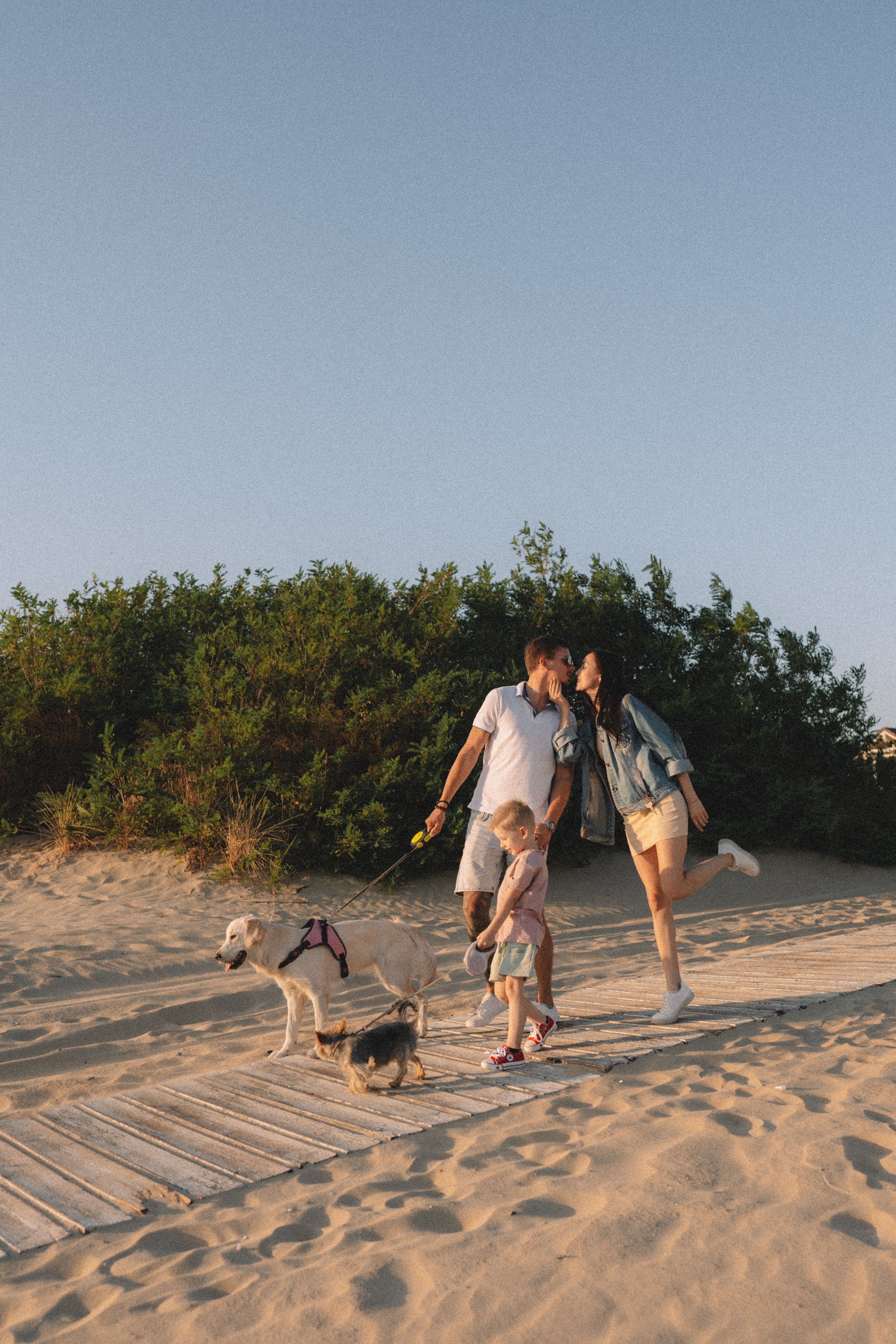 DogsVibe. Фотограф в Анапе Муратова Анна