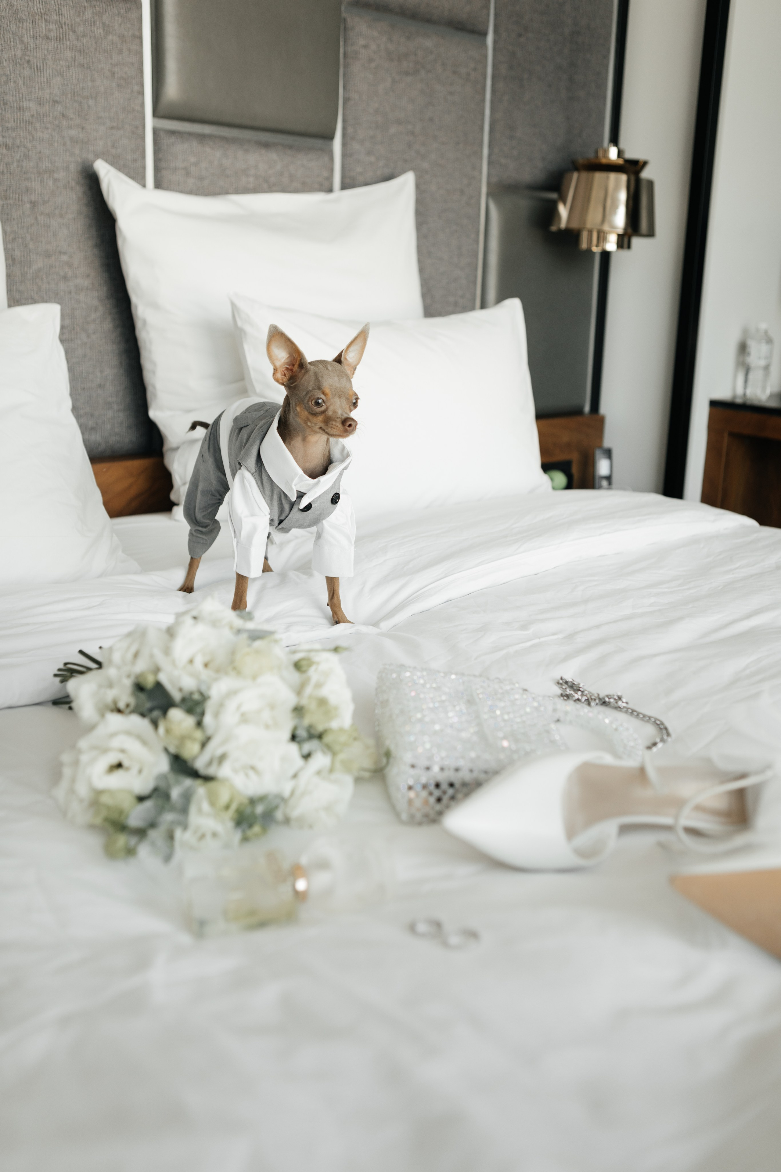 Dmitry & Tatiana. Свадебный организатор в Ростове-на-Дону Яснов Роман