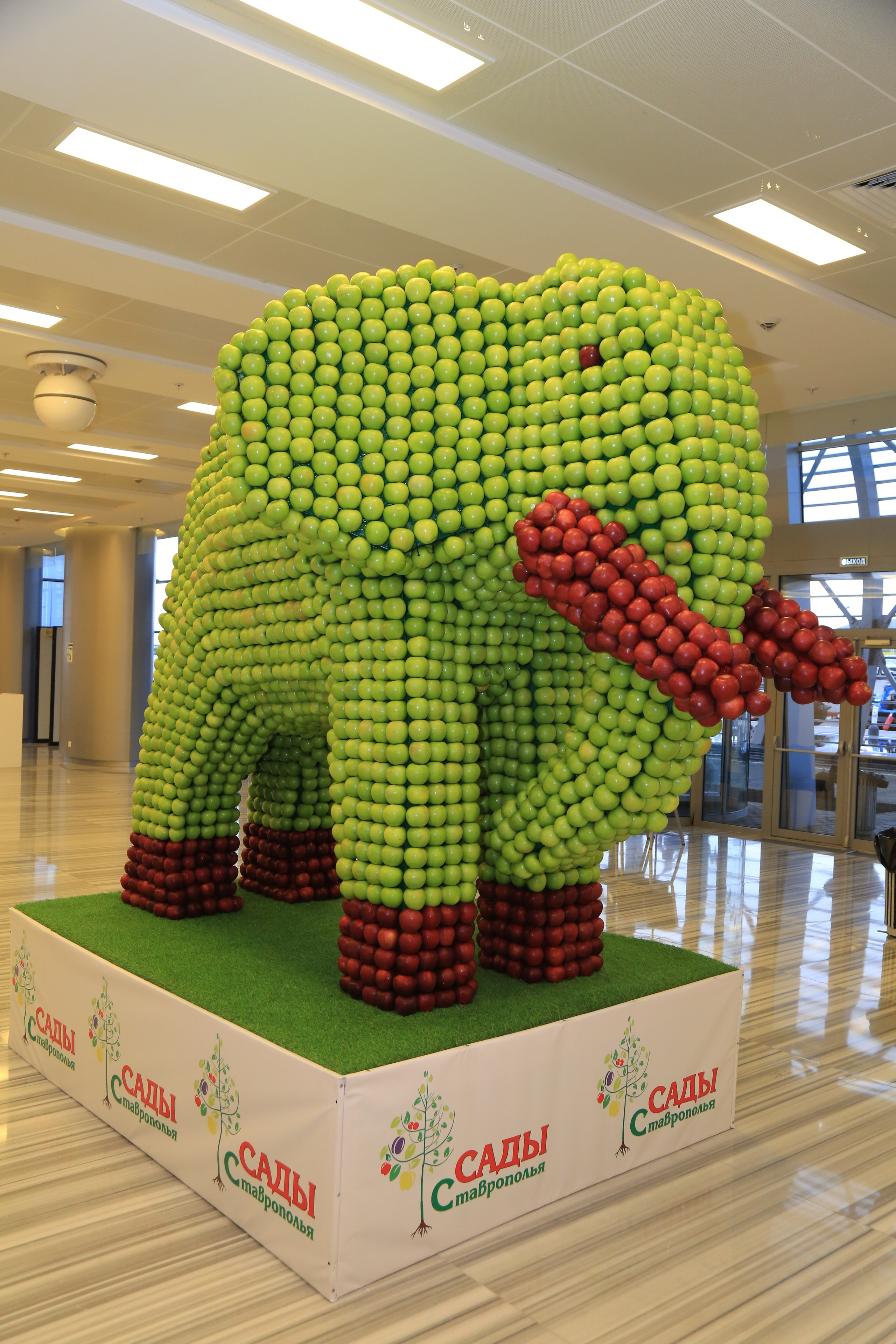 Репортажный фотограф. Репортажная фотосъёмка Минеральные Воды, Пятигорск, Кисловодск, Ставрополь. Репортажный и свадебный фотограф Пятигорск и КМВ