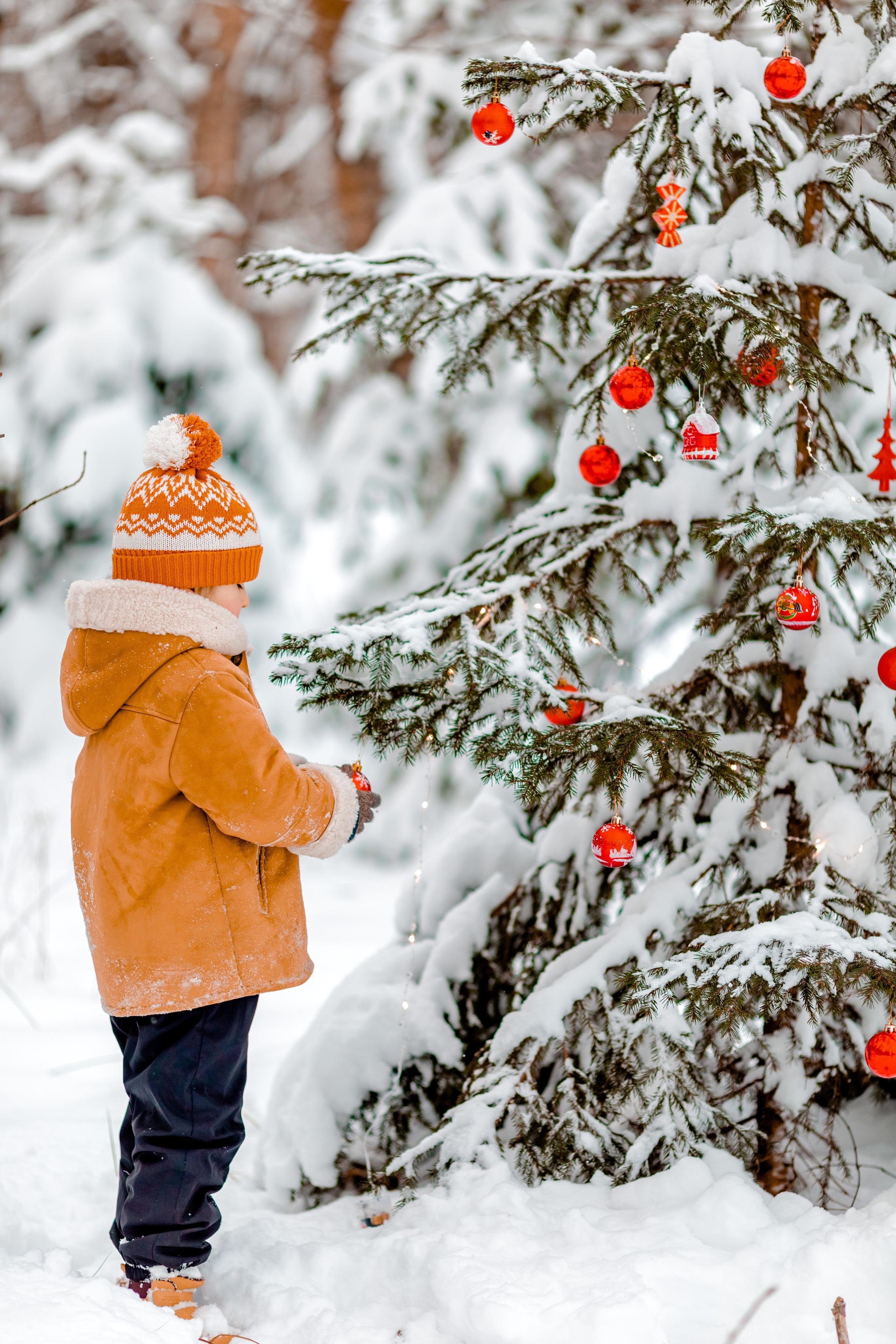 Зимний лес. Семейный и детский фотограф в Москве Алёна Кораблина
