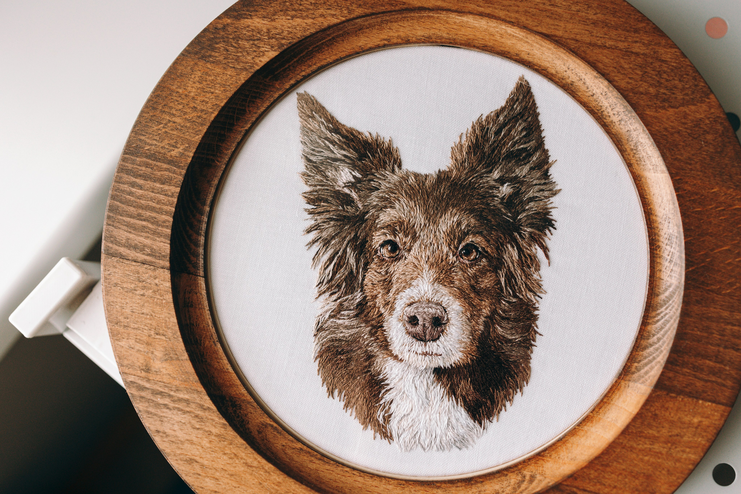 Портфолио. Портретная вышивка питомцев