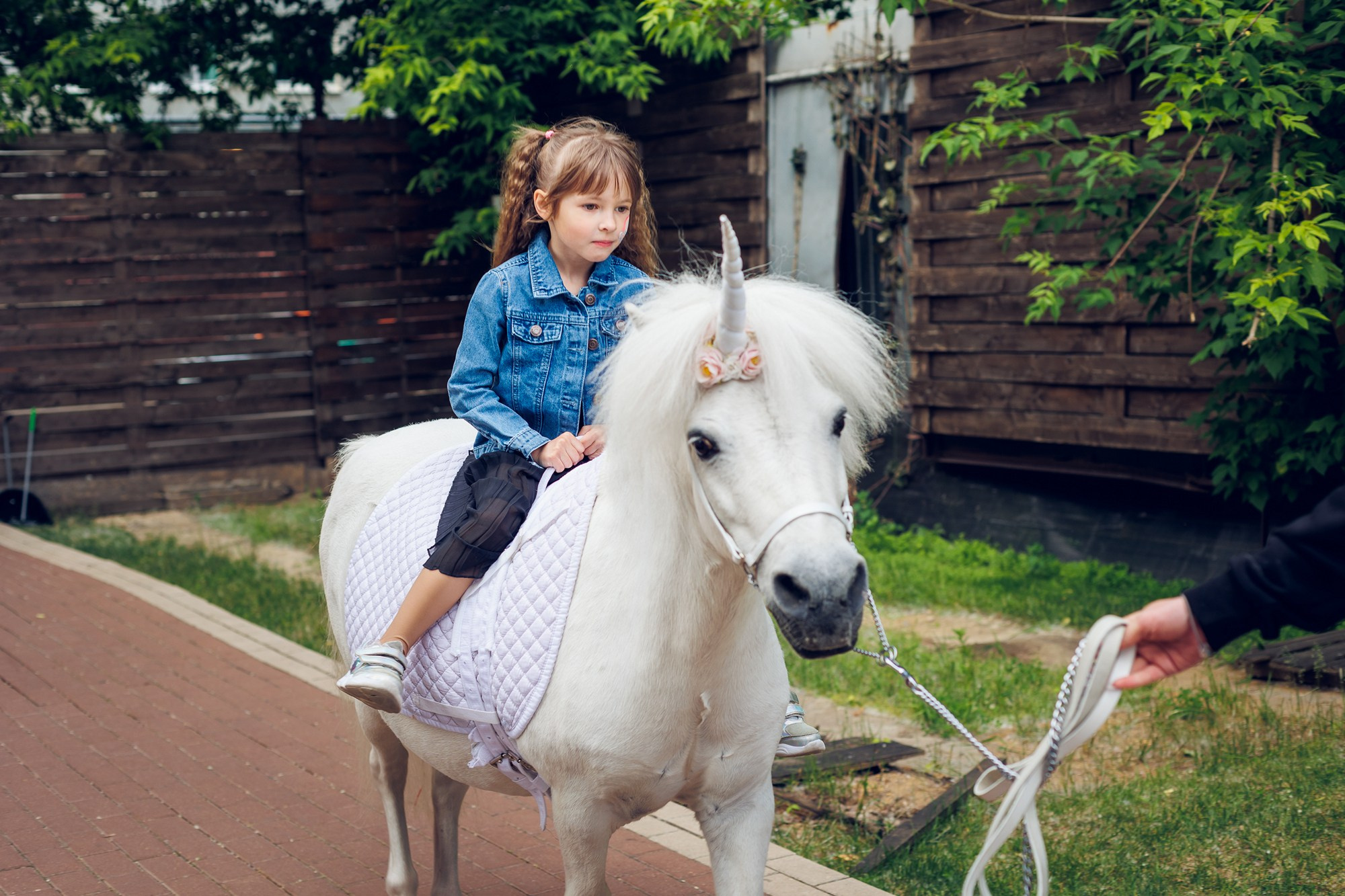 ДР В ЛОФТЕ. Свадебный и репортажный фотограф в Москве и Московской области