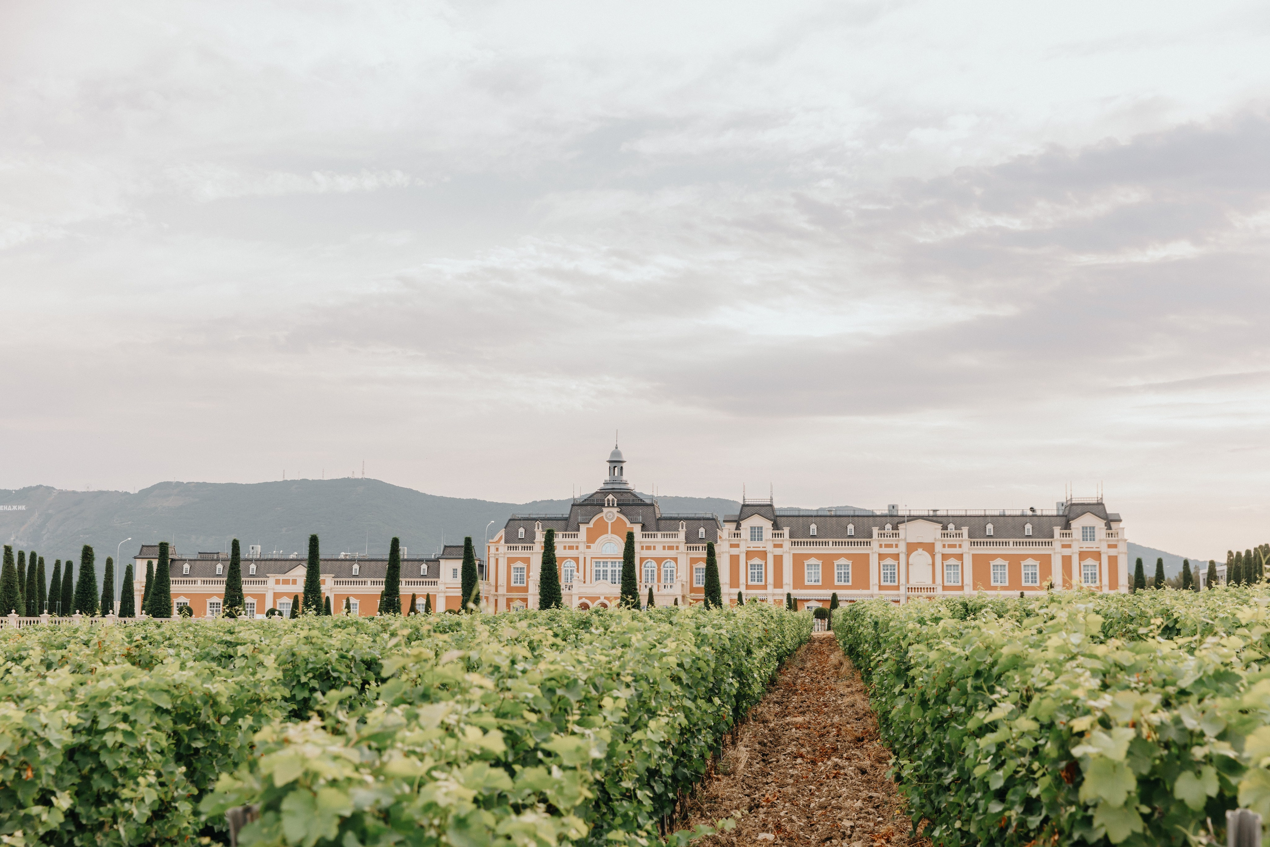 Юля и Дёма (камерная свадьба). Свадебный фотограф и видеограф Когай Дмитрий и Юлия