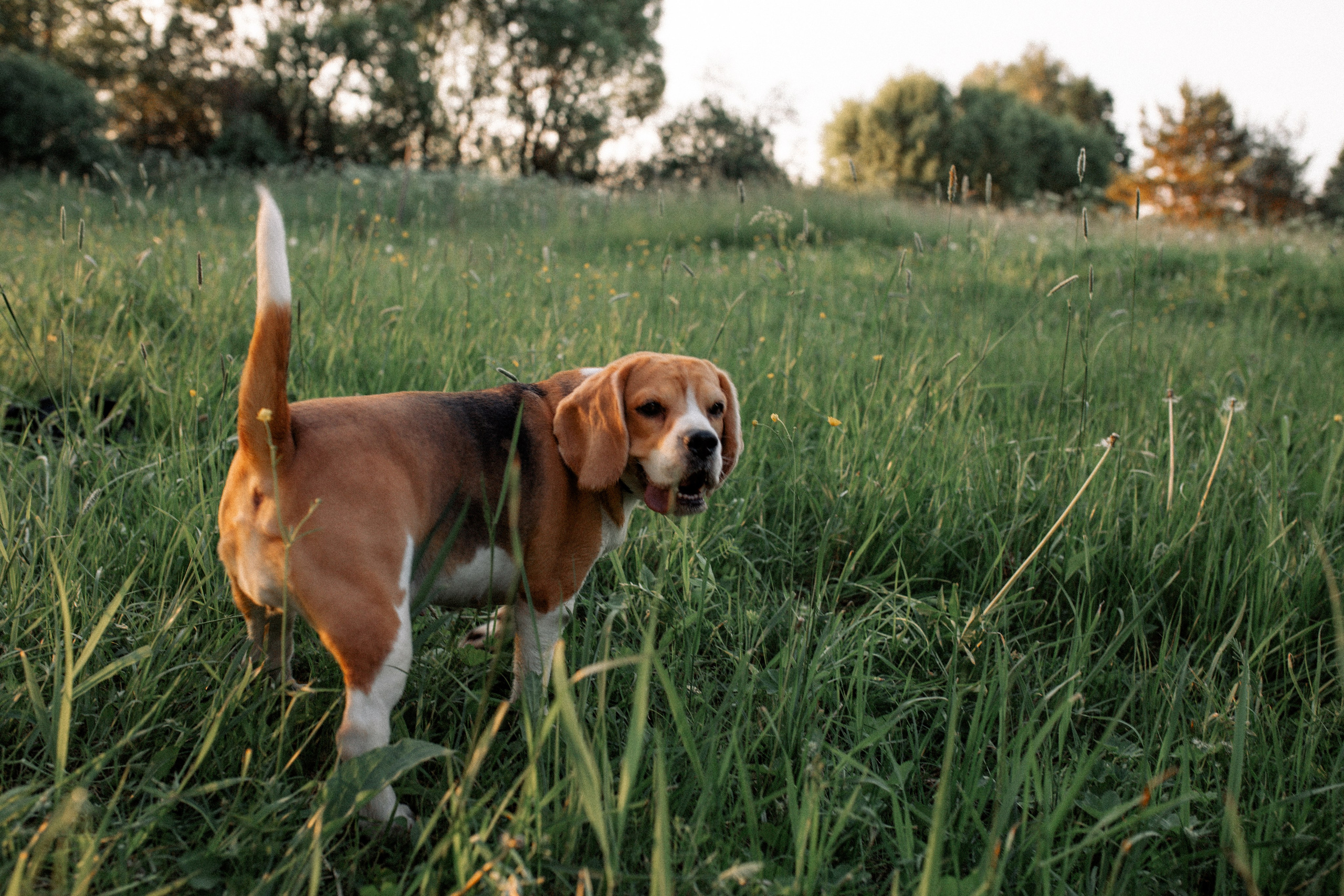 Ира с семьёй
