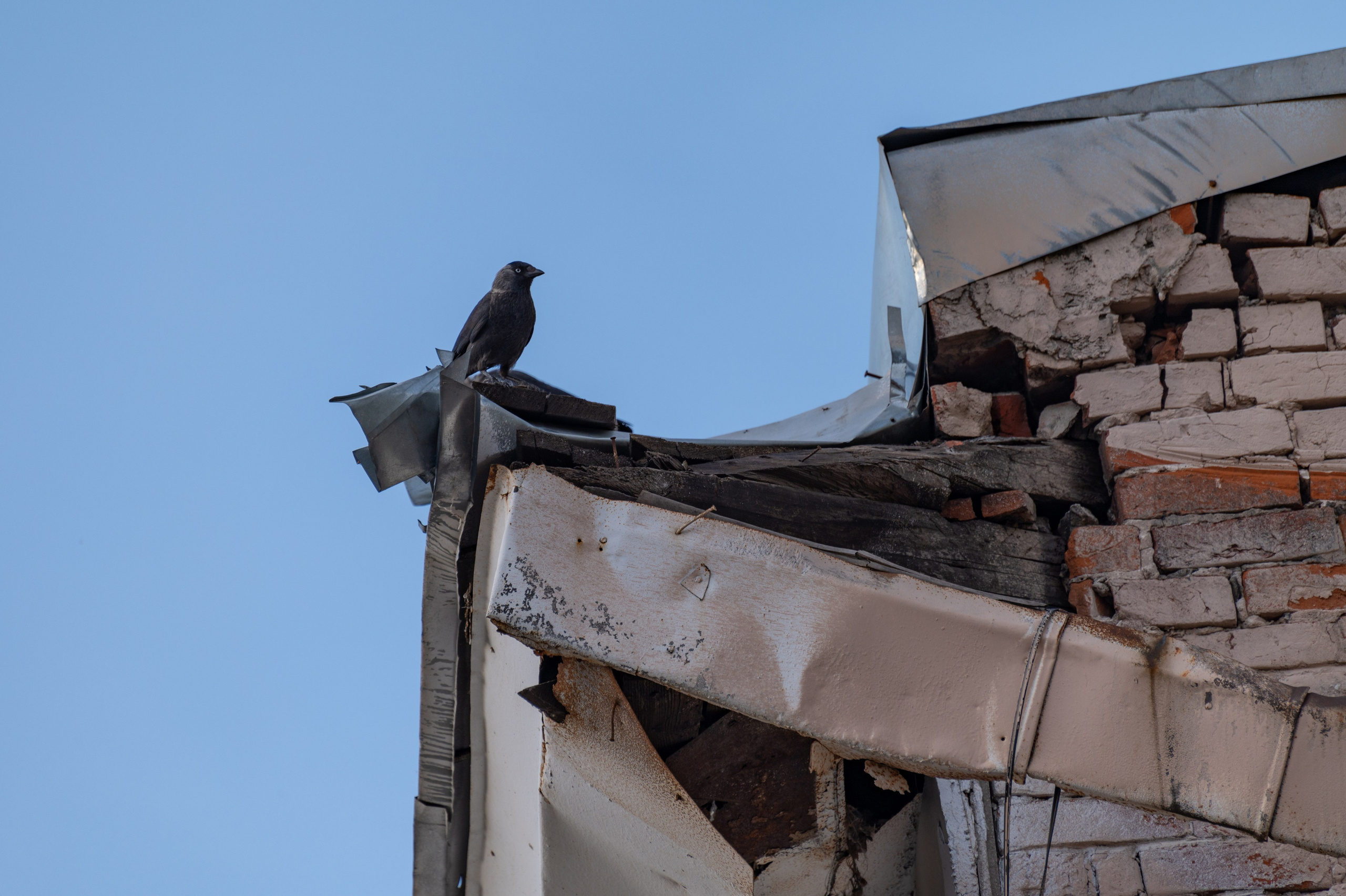 20230612-16 Нижний Новгород. Дмитрий Ремизов. Фотография, как хобби