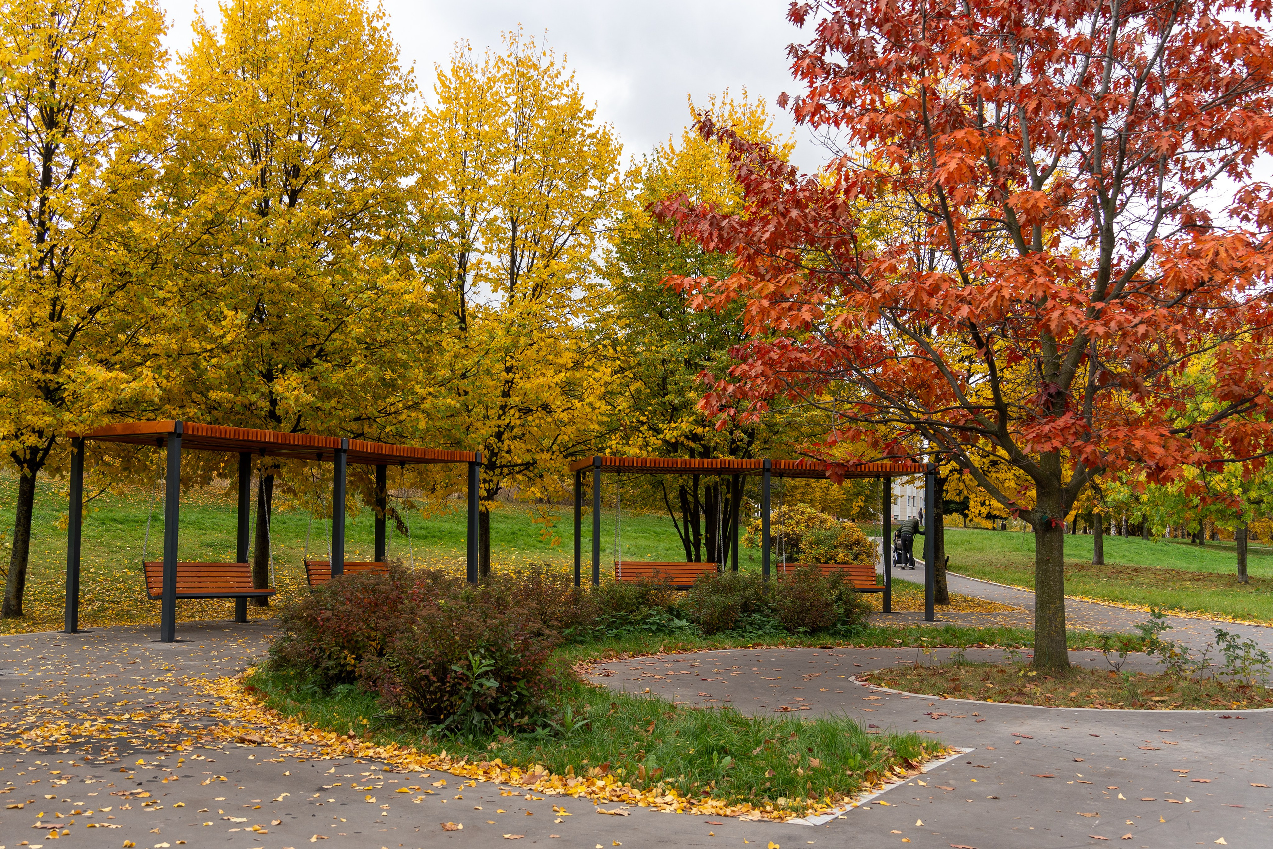 20251012 МГУ. Дмитрий Ремизов. Фотография, как хобби