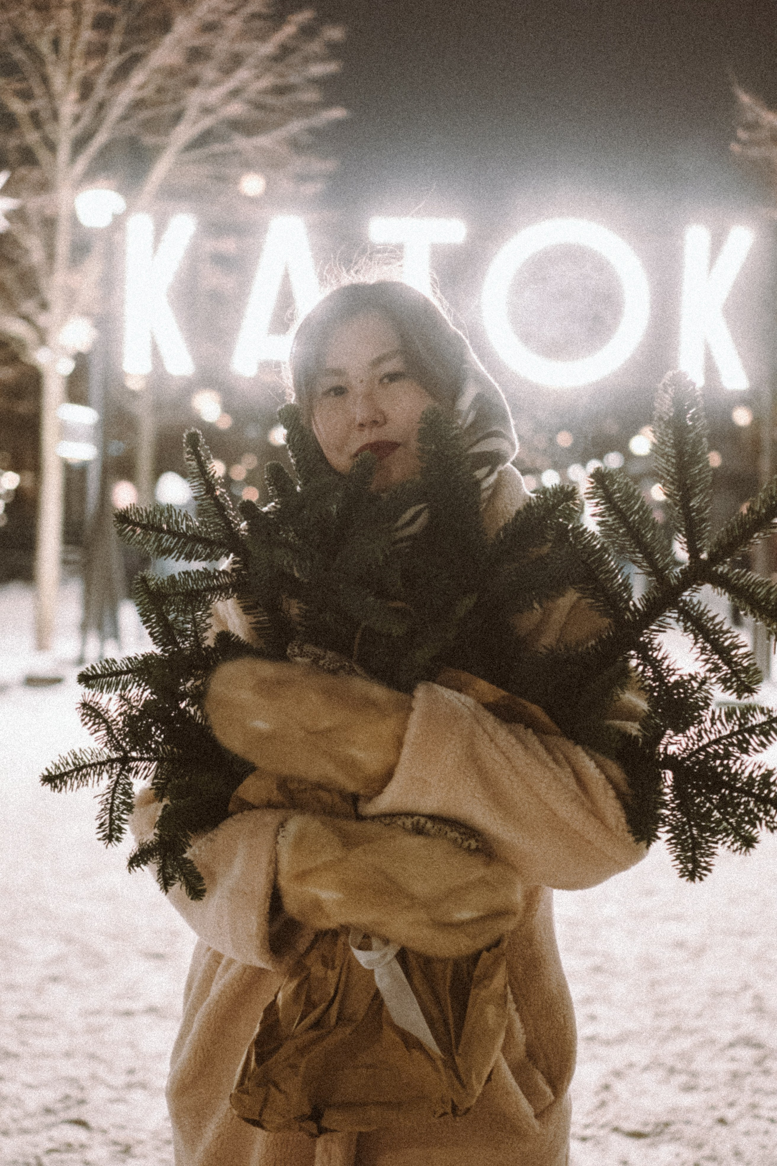 Зимняя сказка в Новой Голандии. Профессиональный фотограф, Санкт-Петербург — Виктория Богомолова