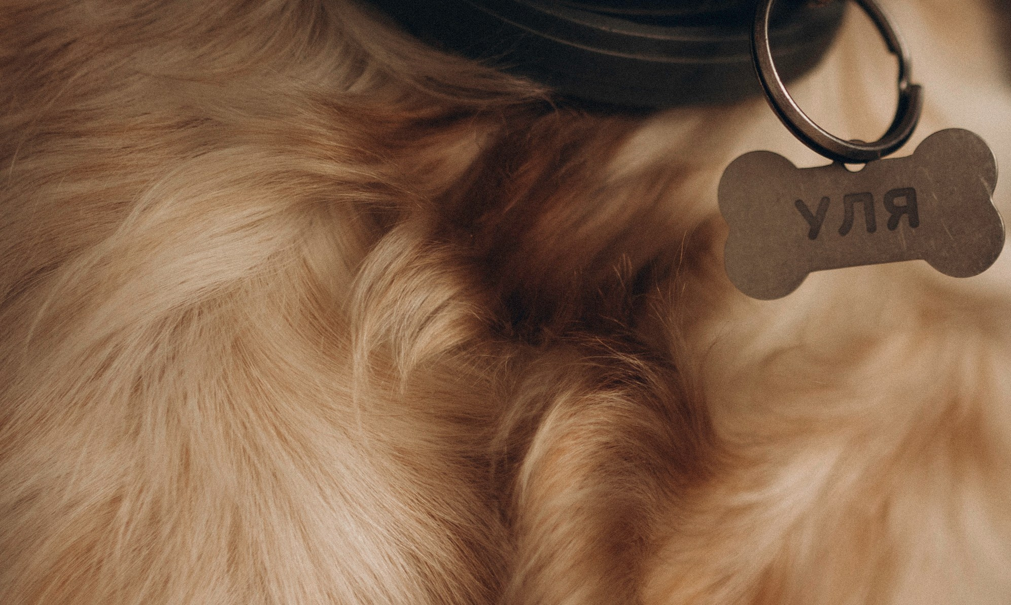 Настя и Уля. Татьяна Афонина | Фотограф