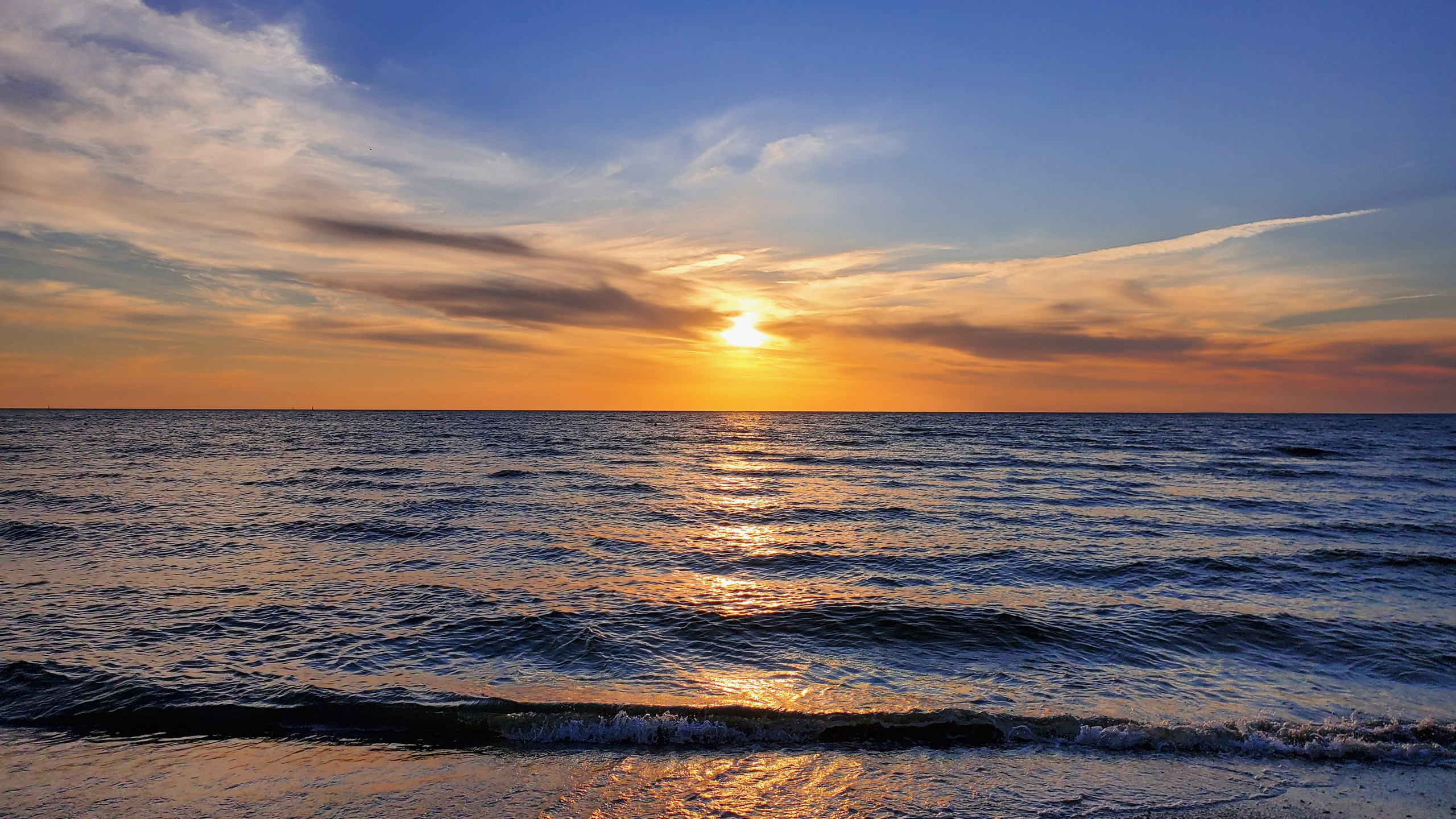 Дмитрий Прибылов