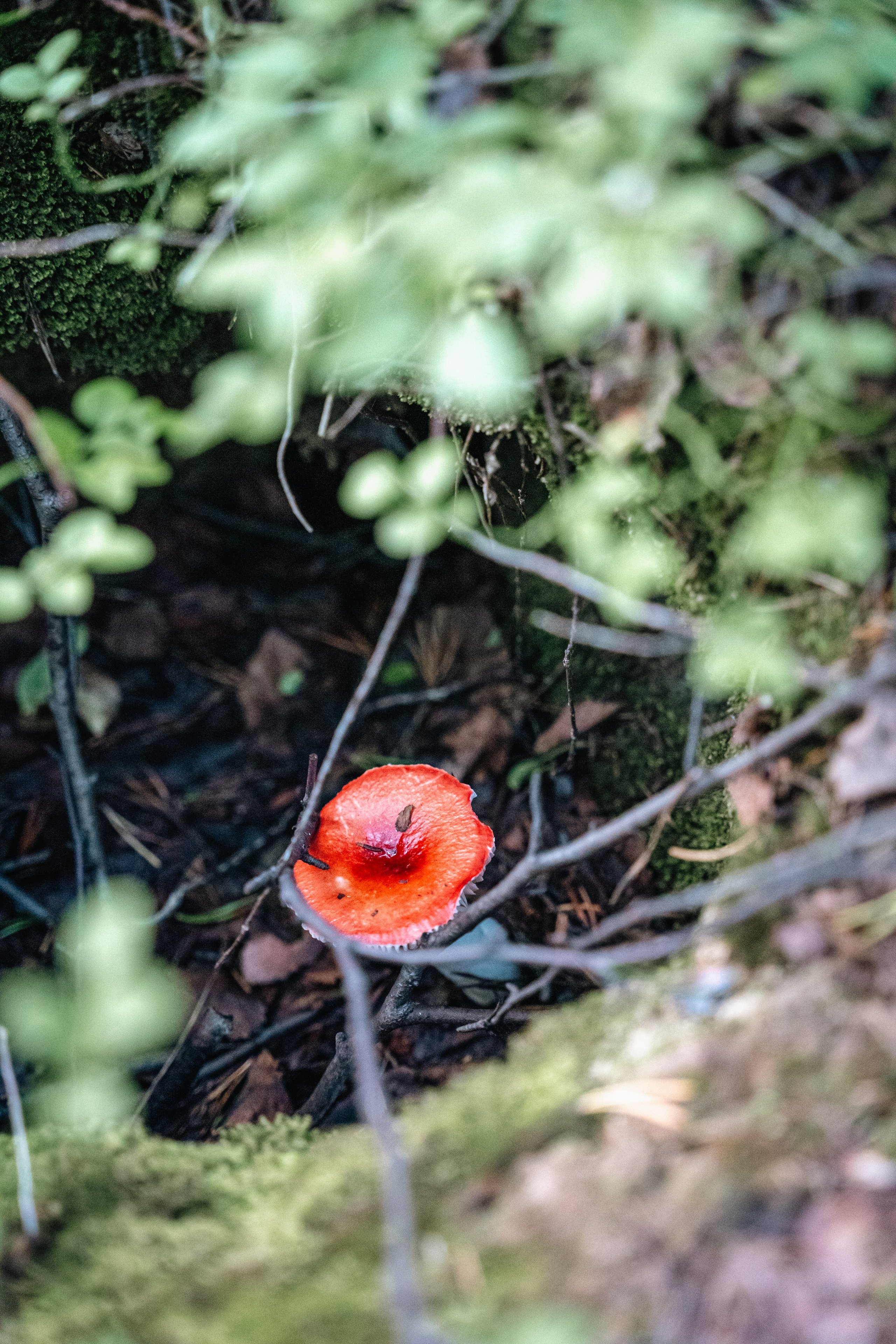 Север_Имандра. Портретный фотограф в Смоленске и Москве Мария Громова