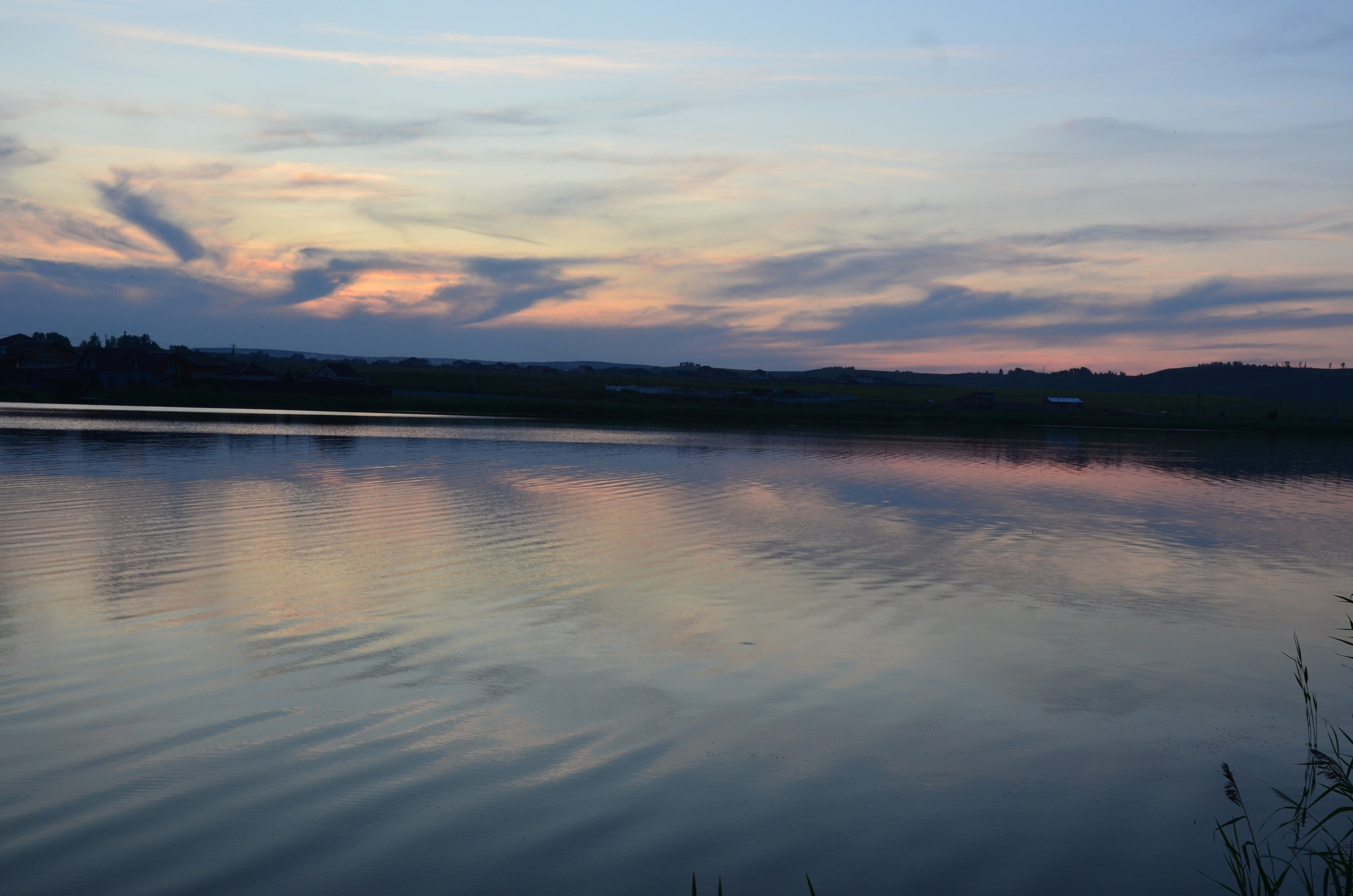 Дары природы. Фотограф viktor viktor