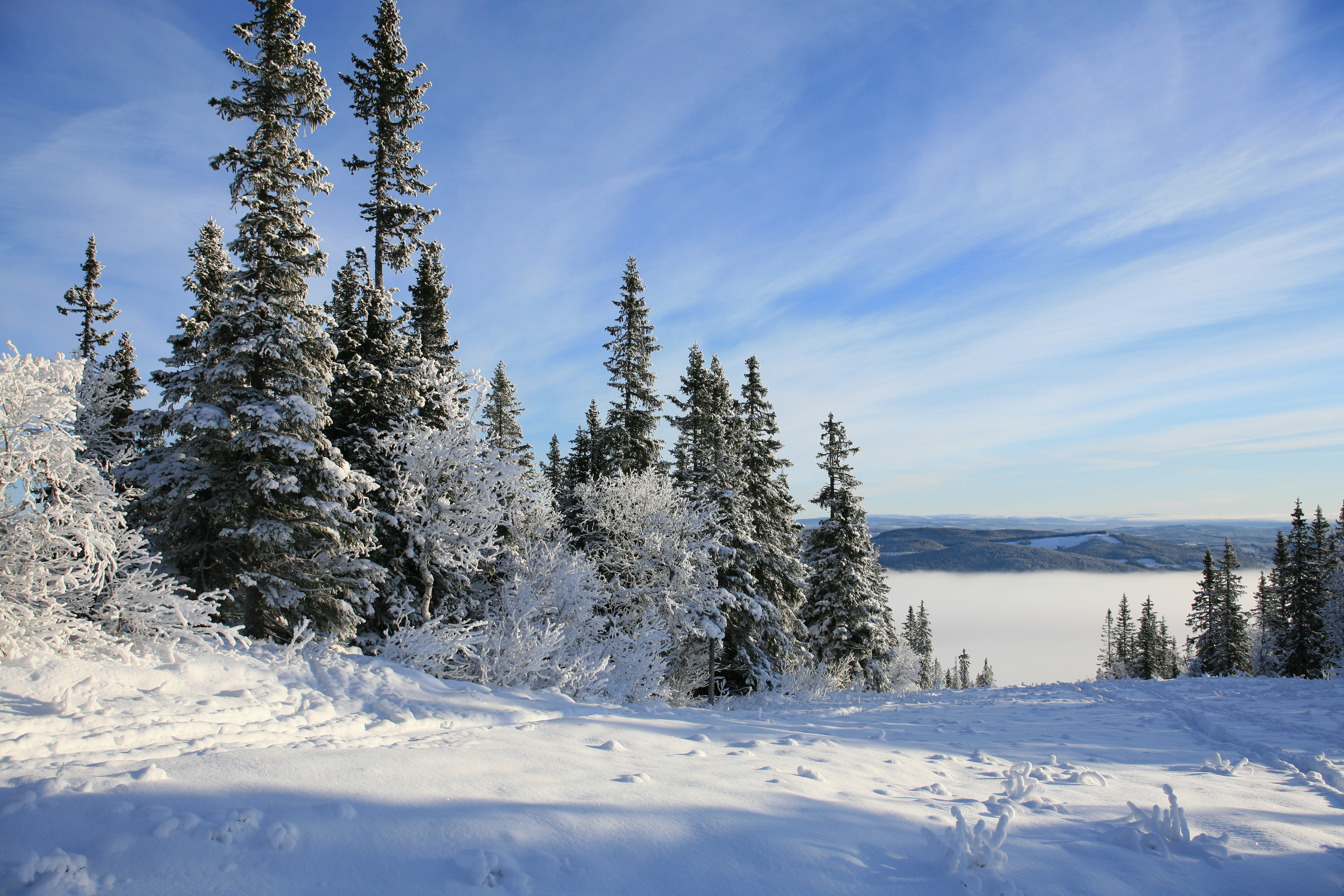 Ландшафт. Главная