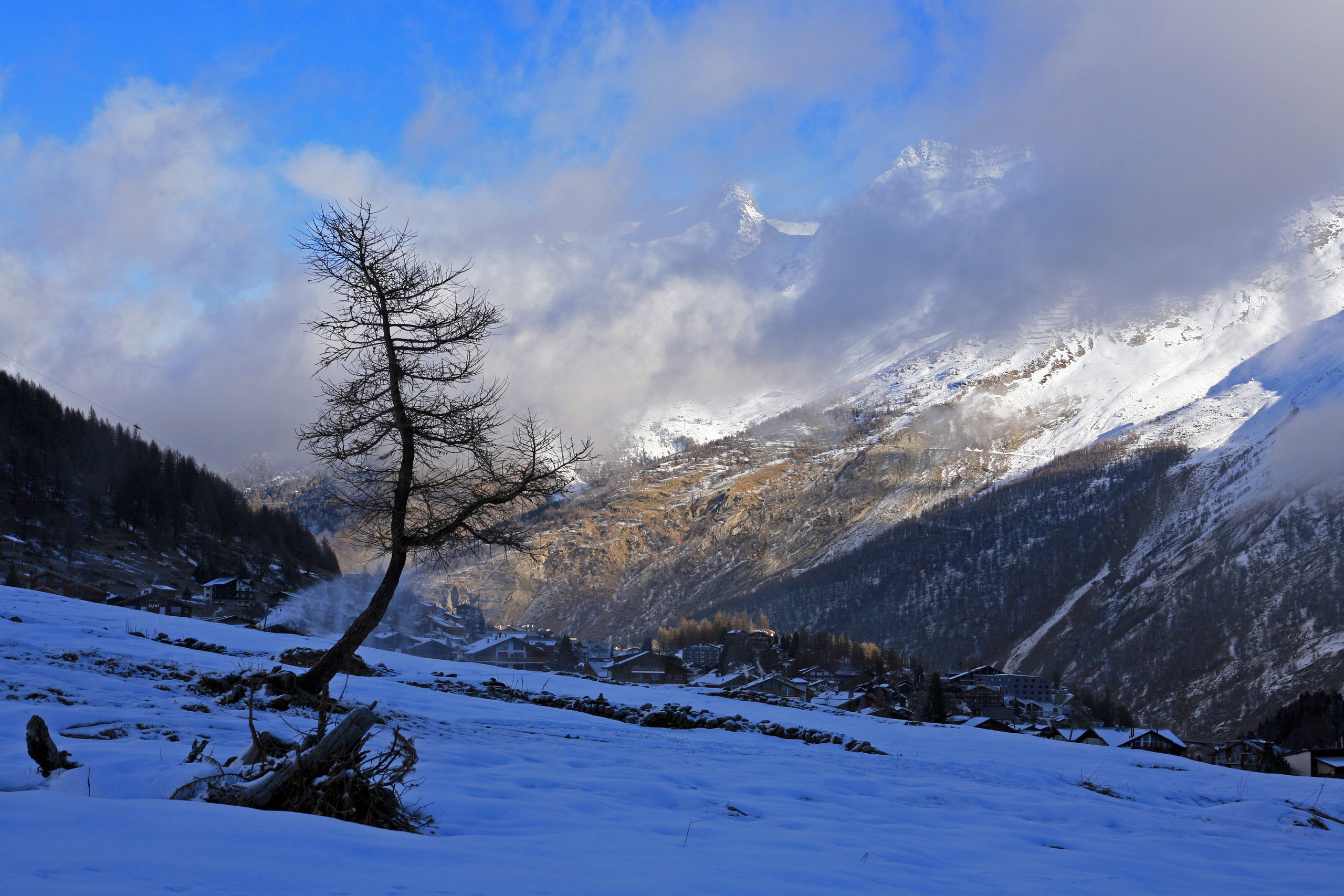 Ландшафт. Главная