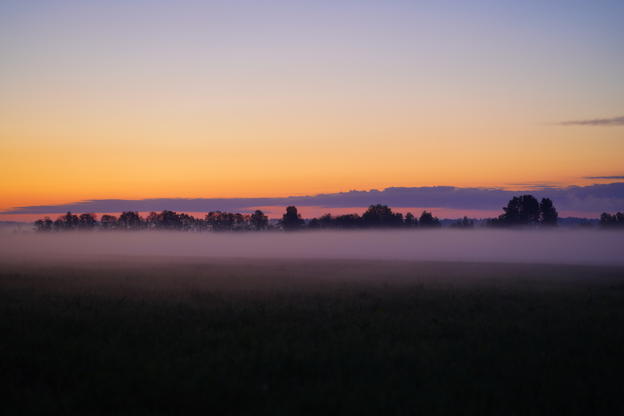 Ландшафт. Главная