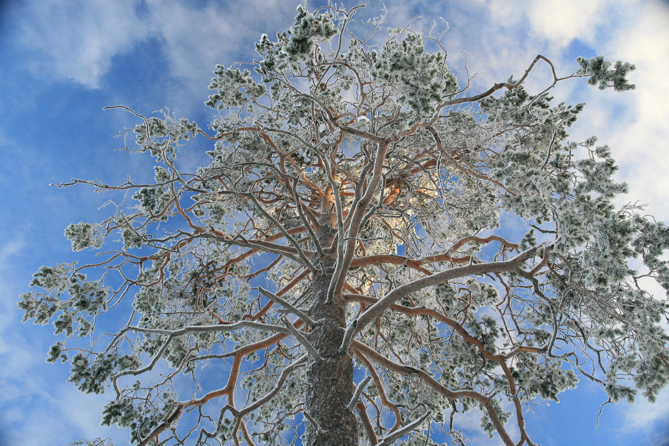 Ландшафт. Главная