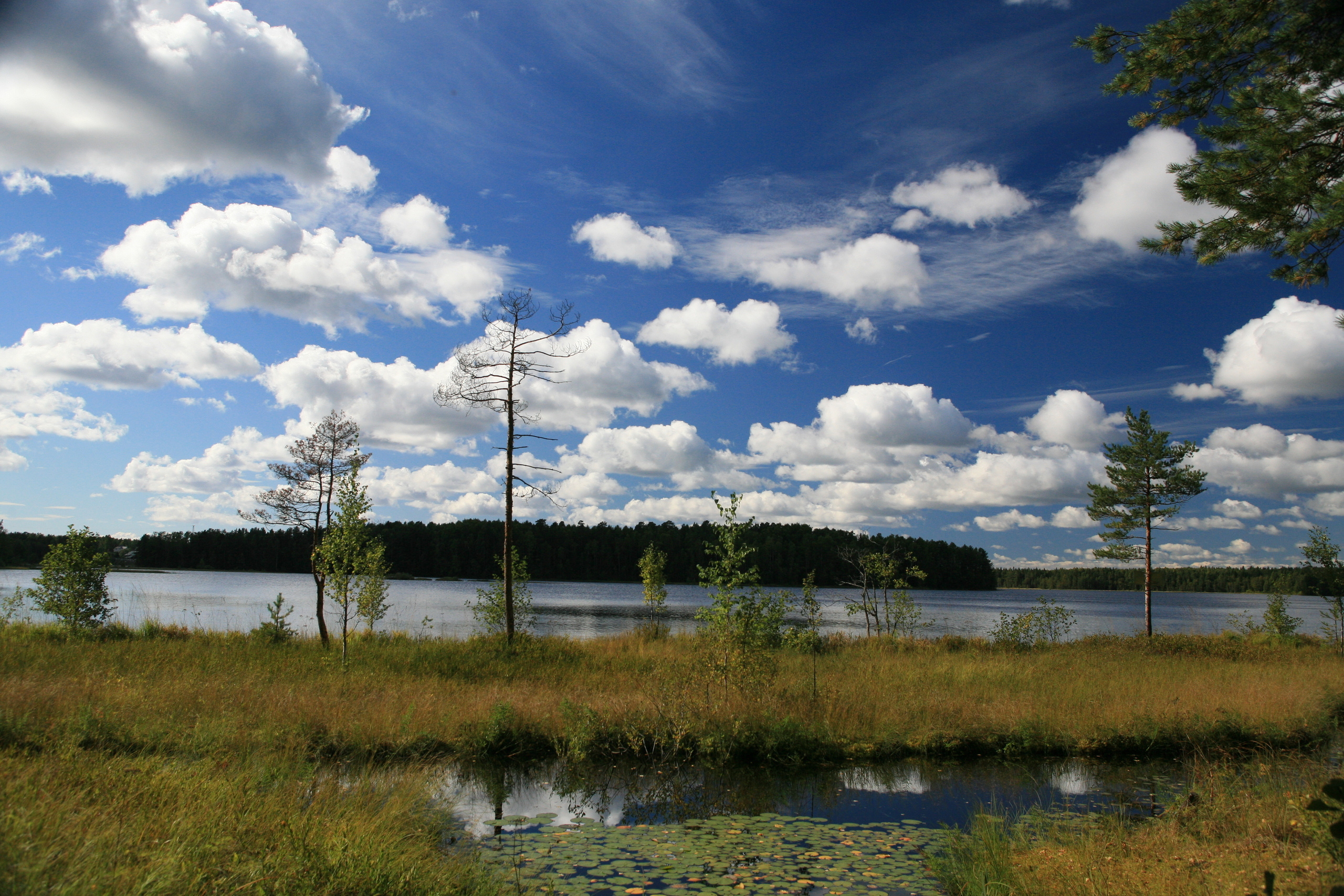 Ландшафт. Главная