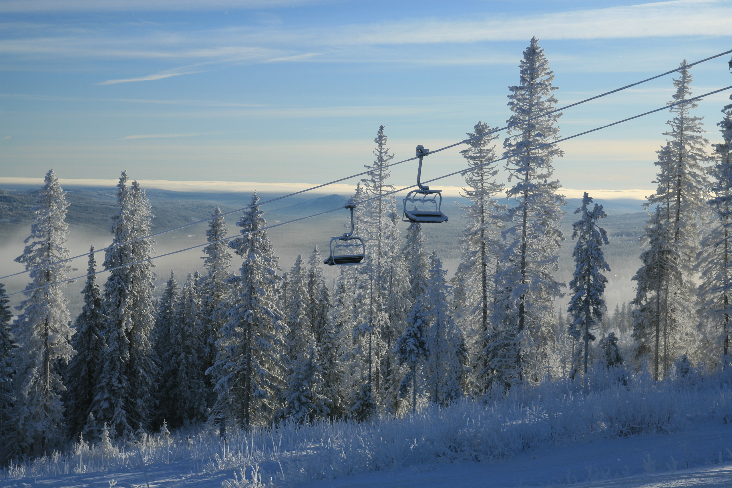 Ландшафт. Главная