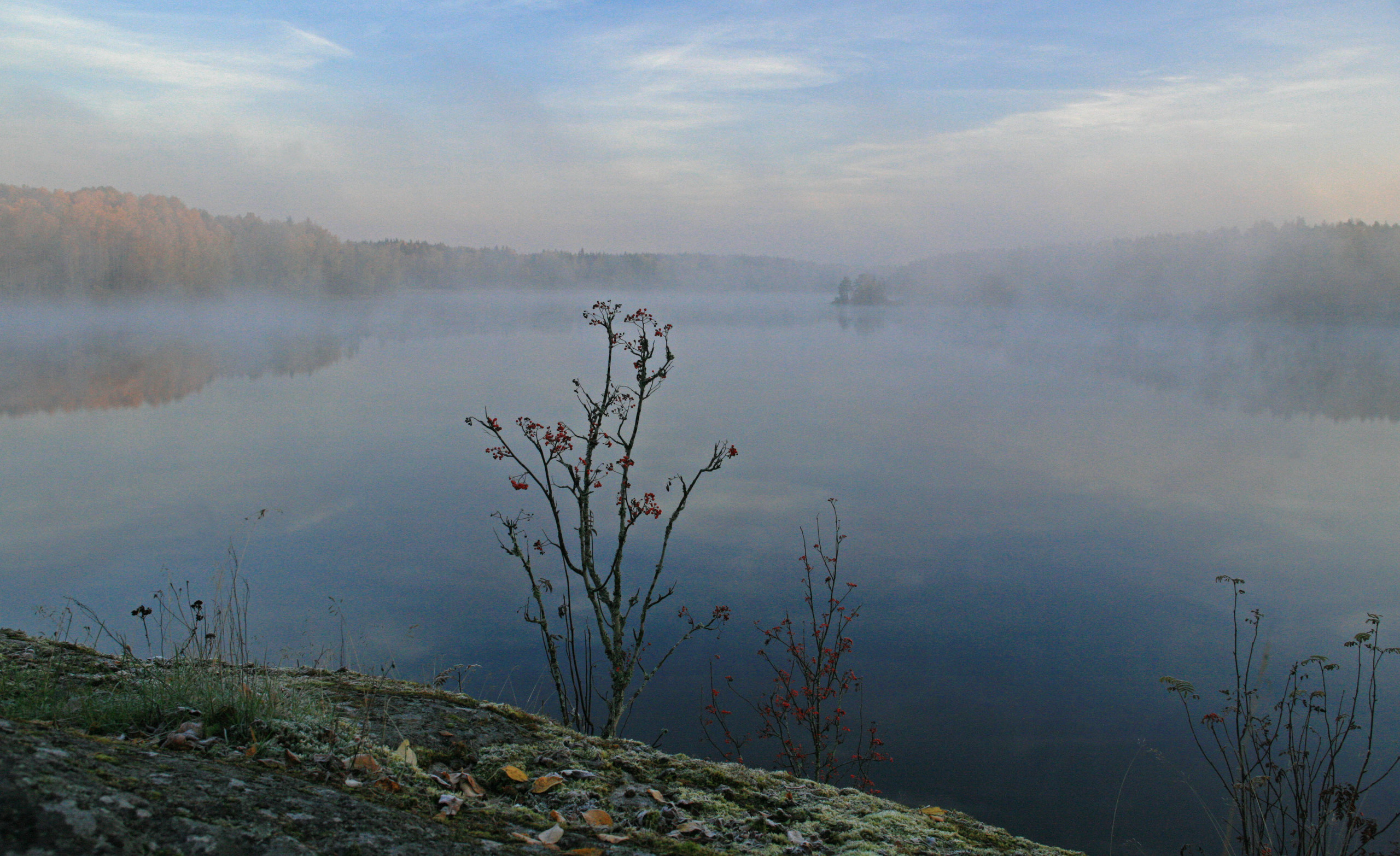 Ландшафт. Главная