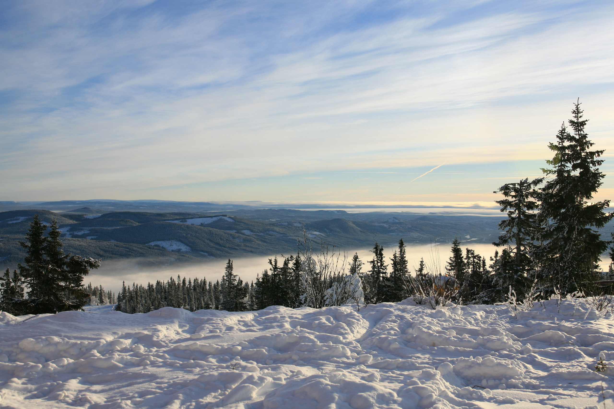 Ландшафт. Главная