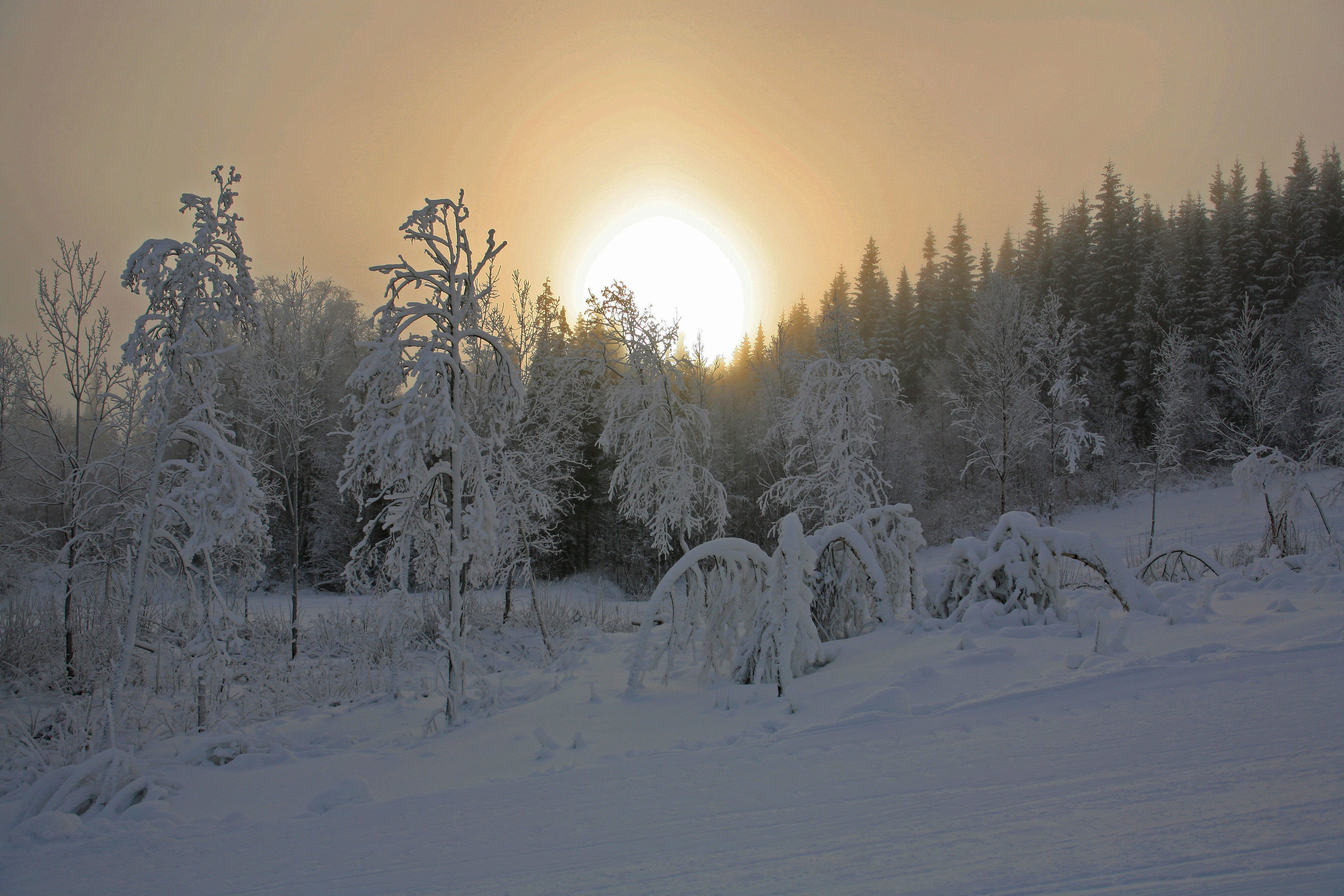 Ландшафт. Главная