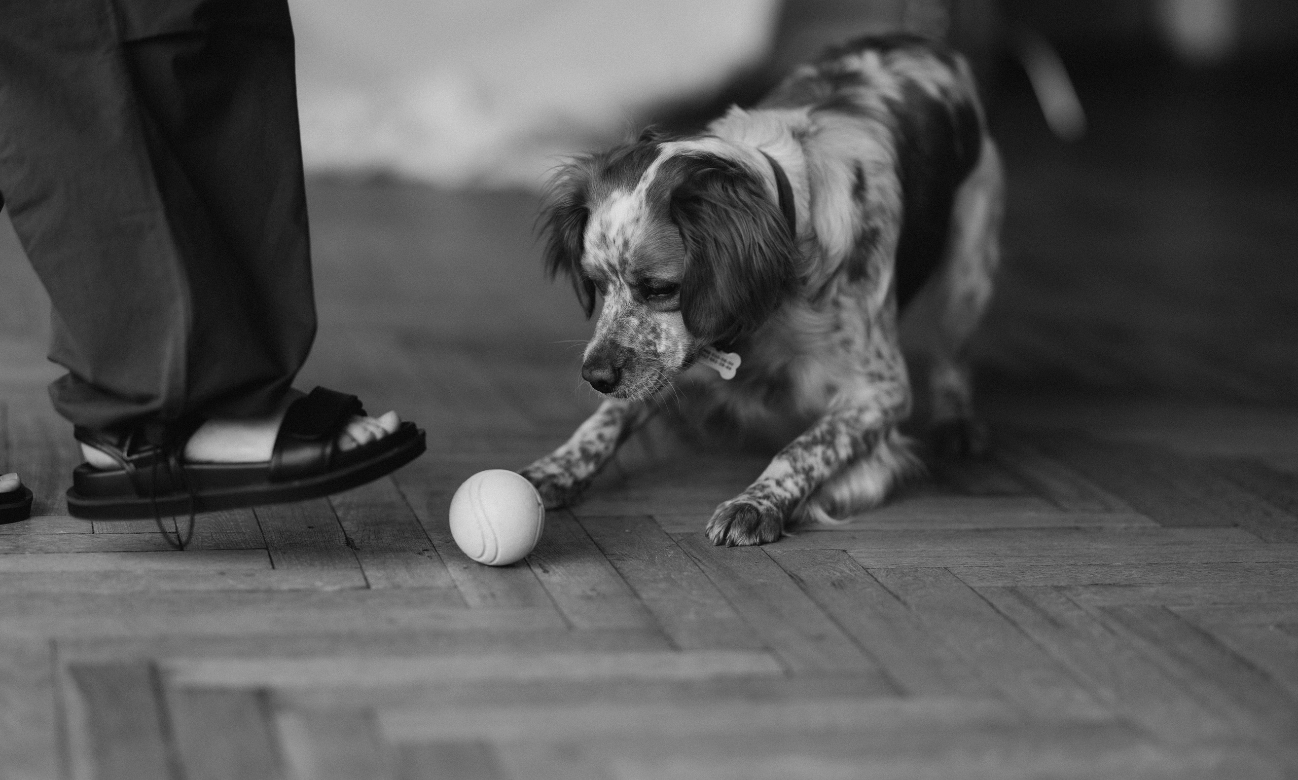 Настя и Уля. Татьяна Афонина | Фотограф