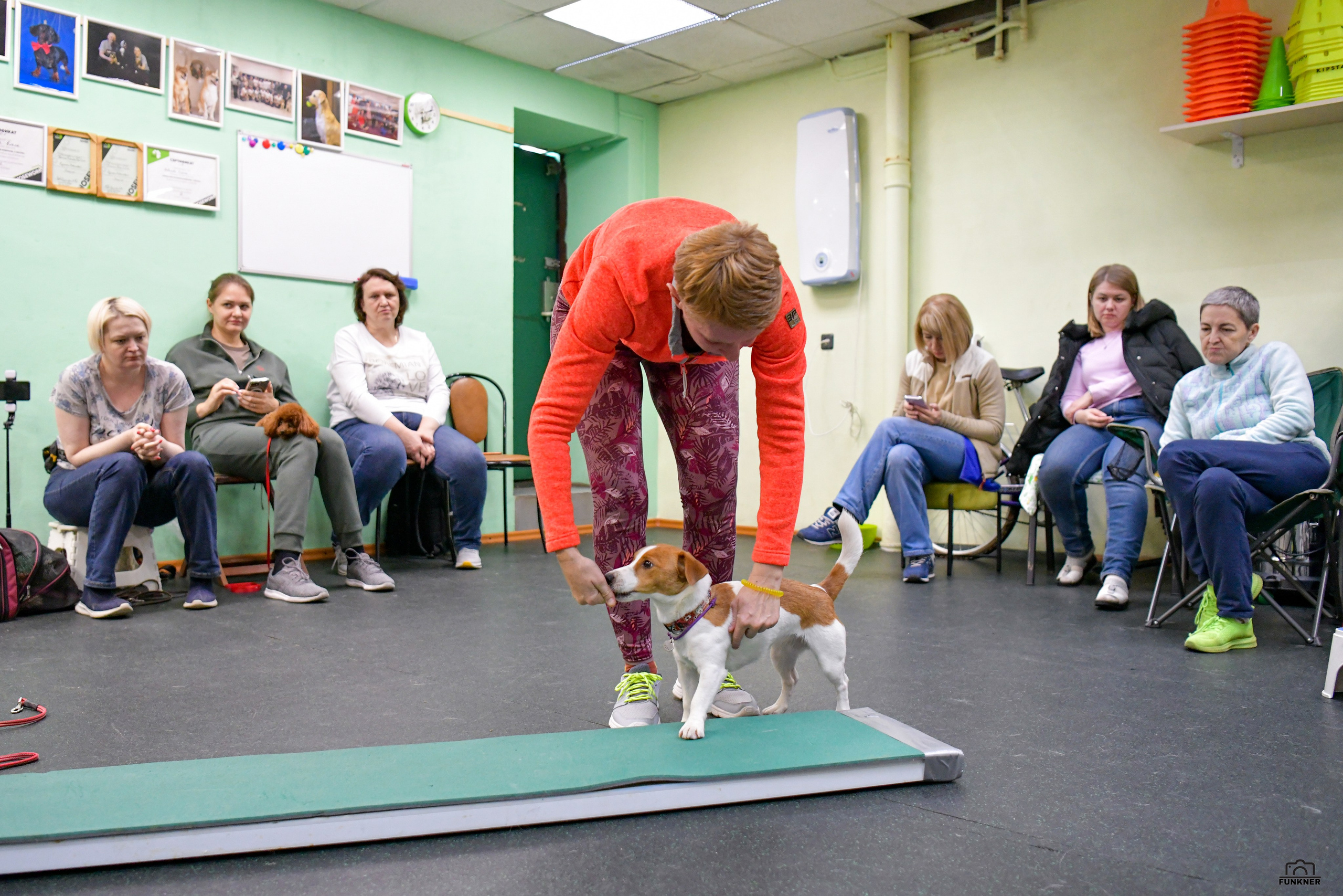 Кинологический клуб «Бодрый хвост». Свой взгляд через объектив