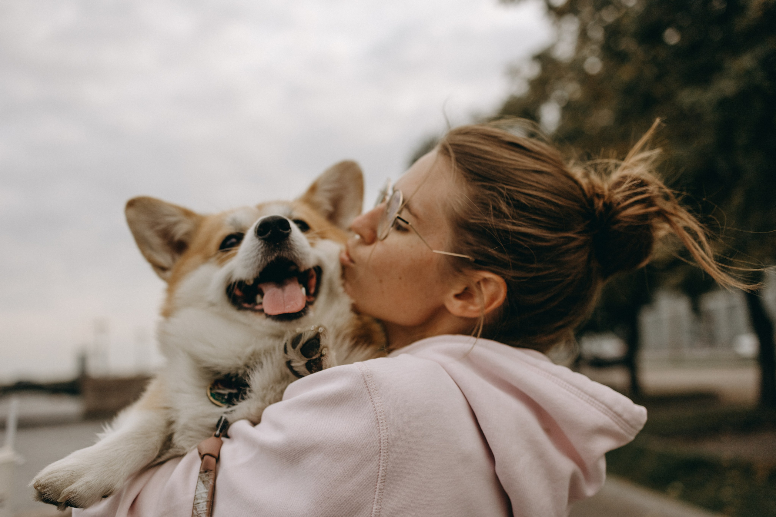 Лиза и Бакс. Фотограф — Анималист | Санкт-Петербург