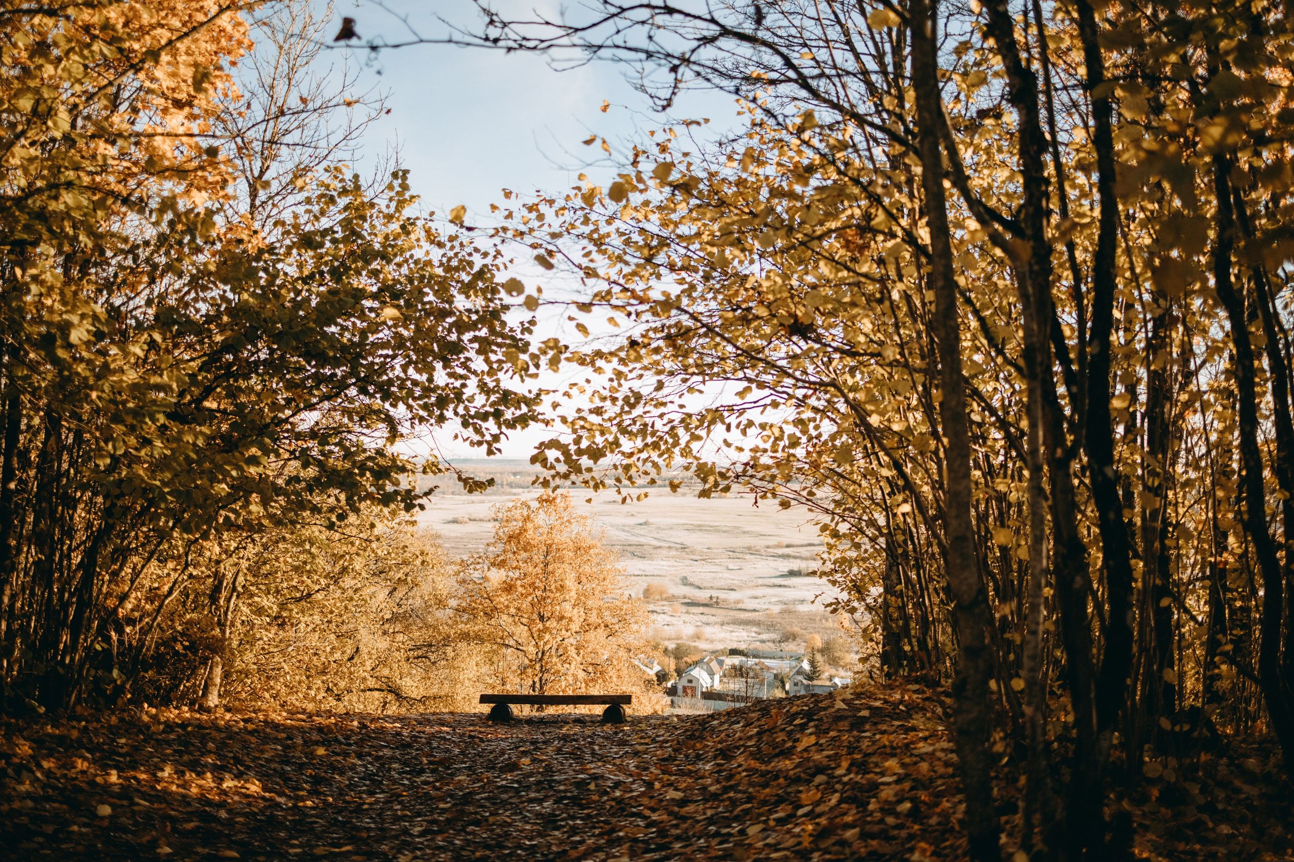 Ия и Барт. Фотограф — Анималист | Санкт-Петербург