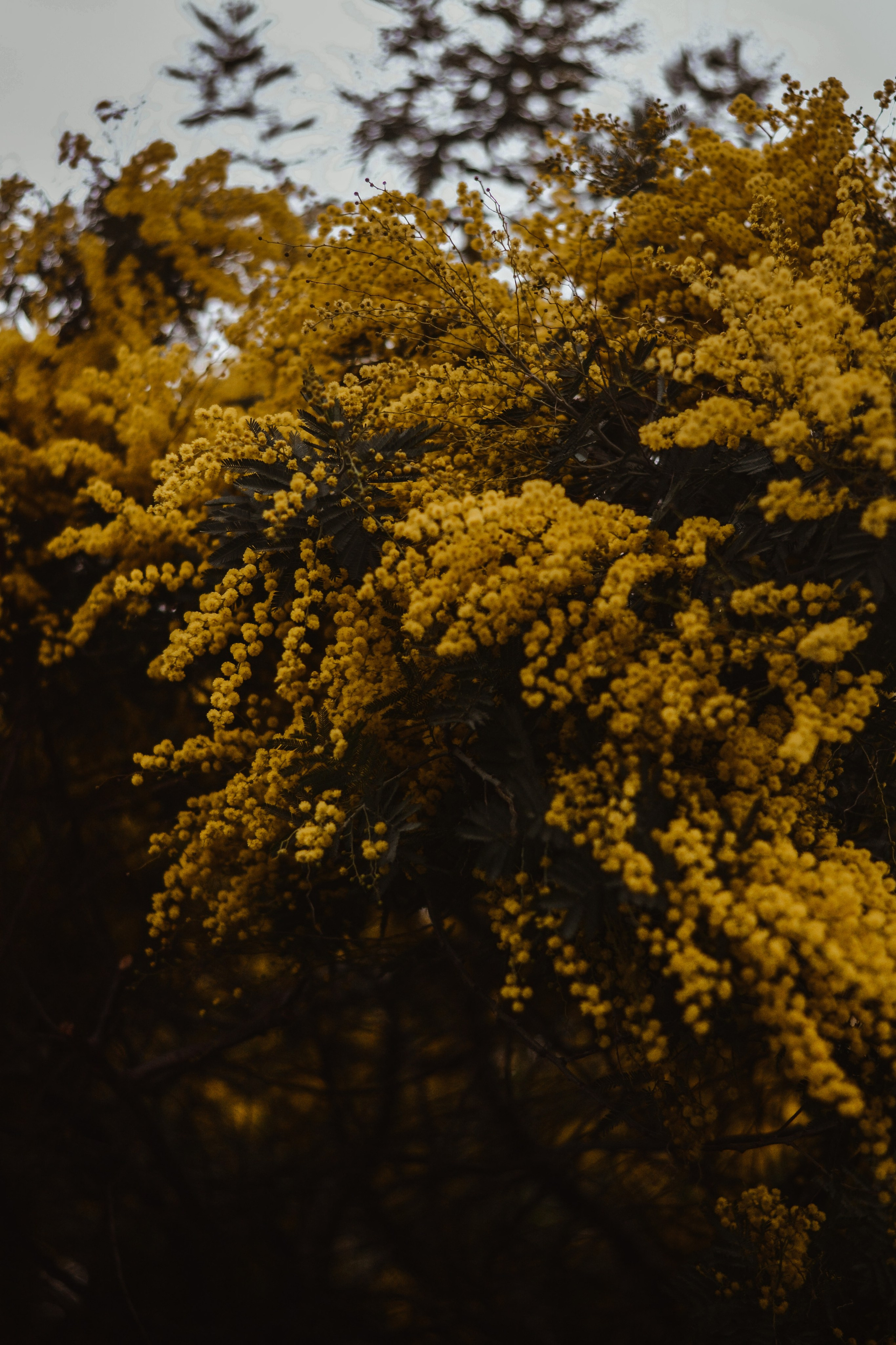 Wallpapers. Фотограф Казань