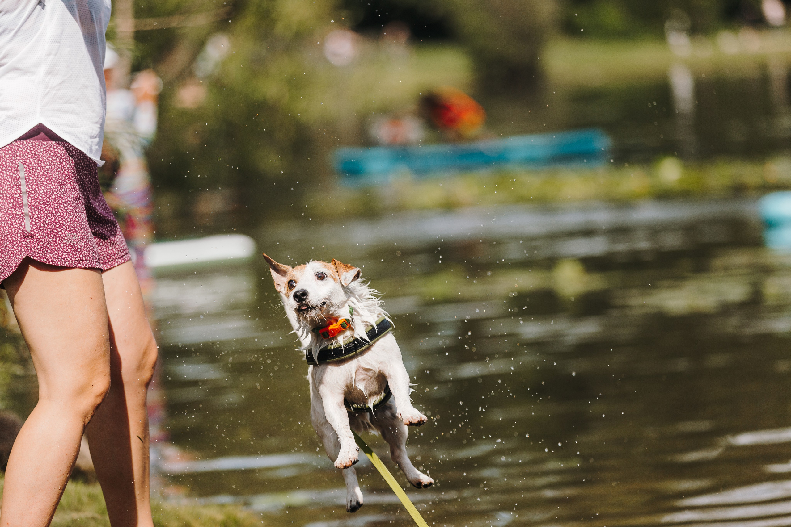 Petshop Sup day. Фотограф анималист Кристина Карпова, Москва